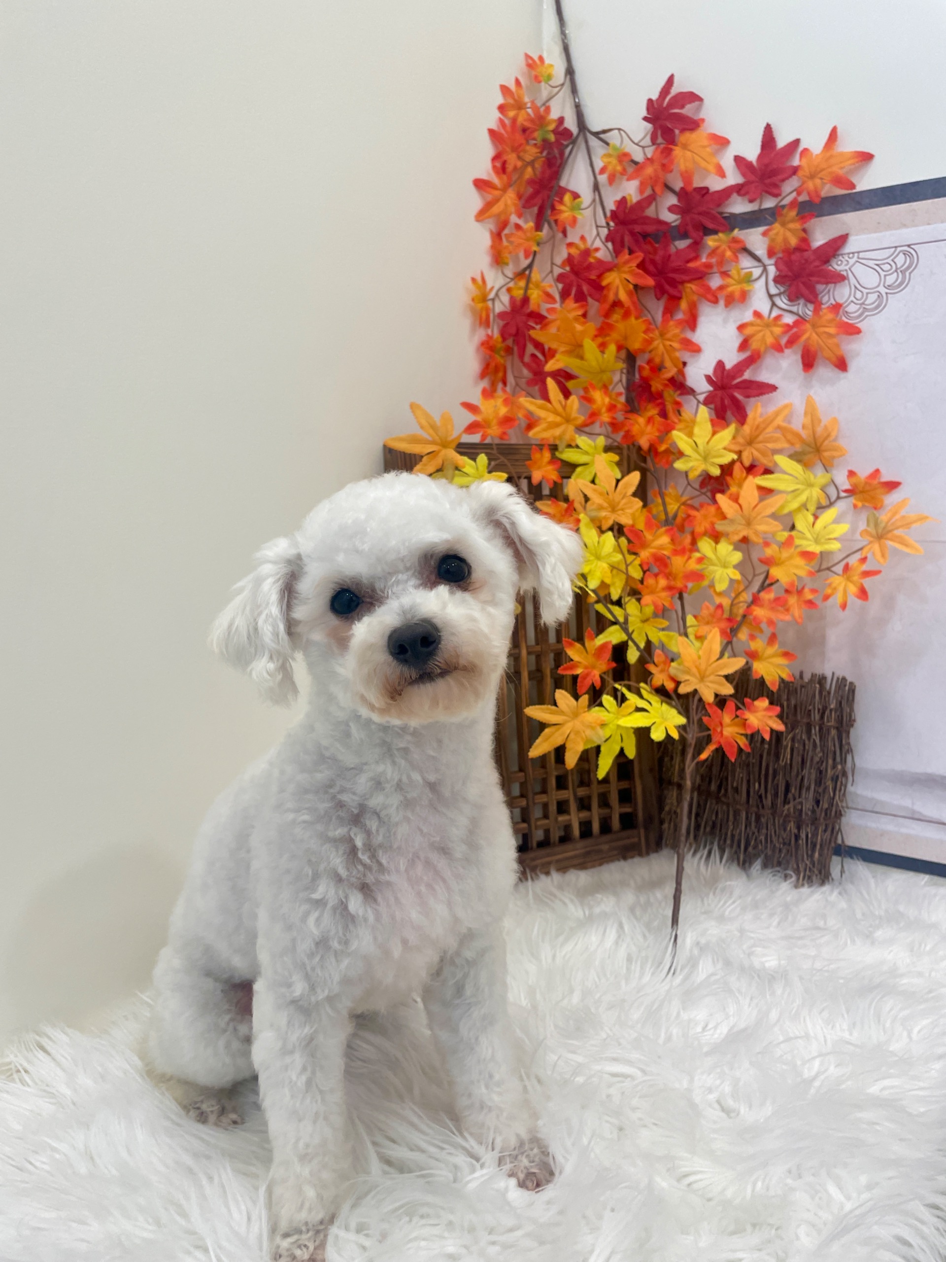 열무(구 아솜)의 한달 이야기