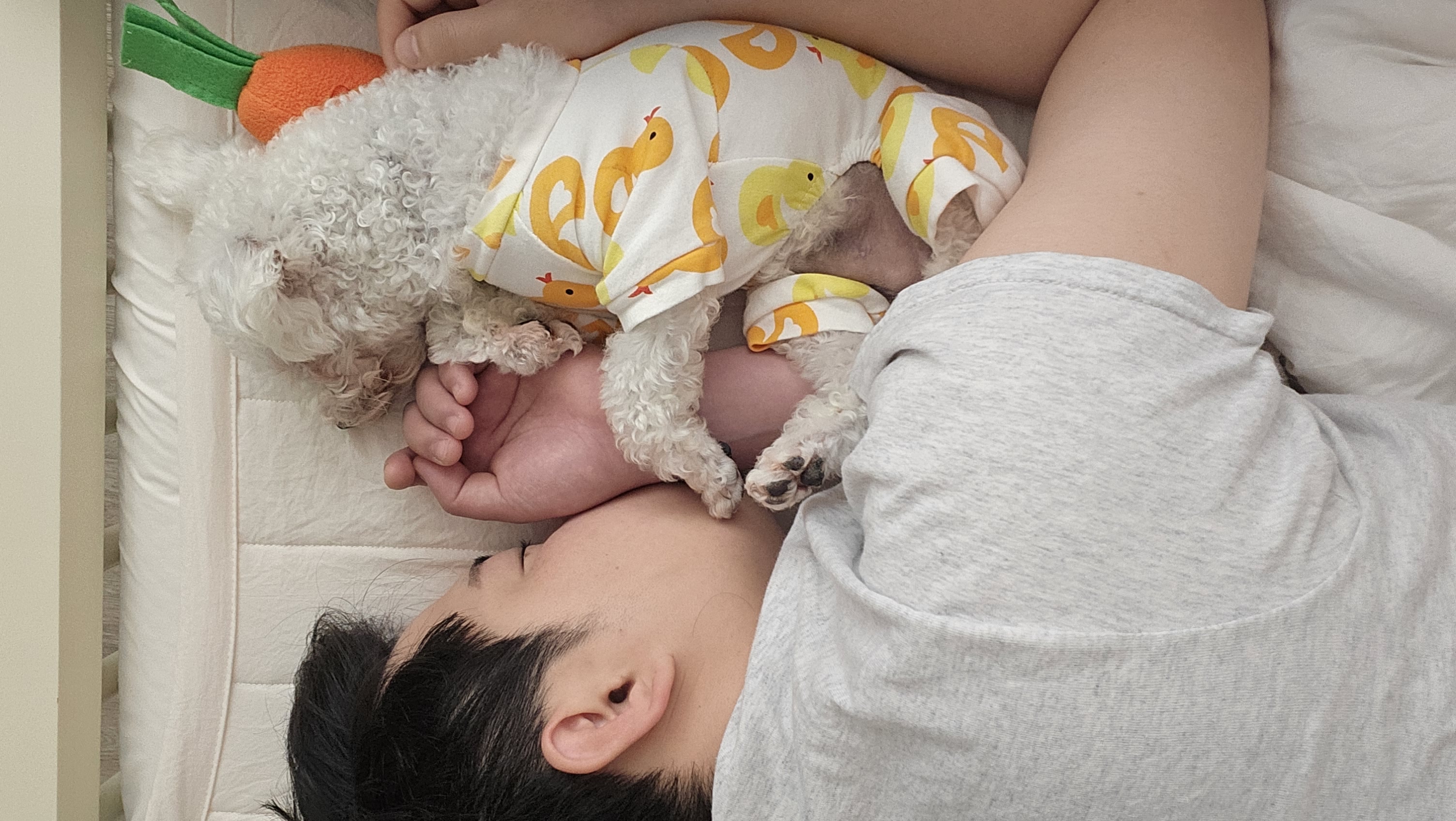 열무(구 아솜)의 한달 이야기