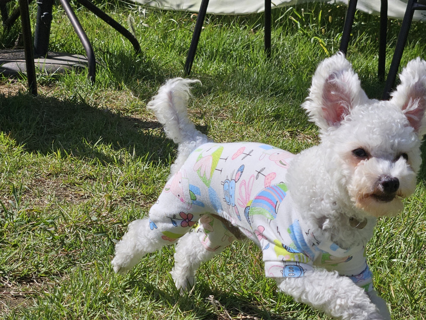 열무(구 아솜)의 한달 이야기