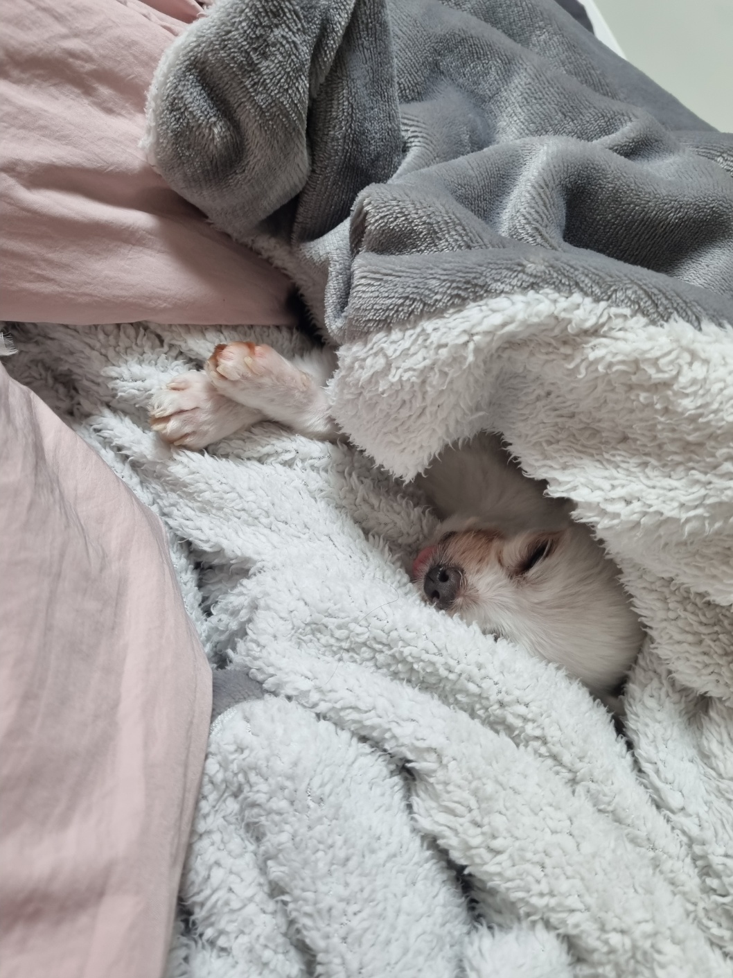 짜니소식입니다~