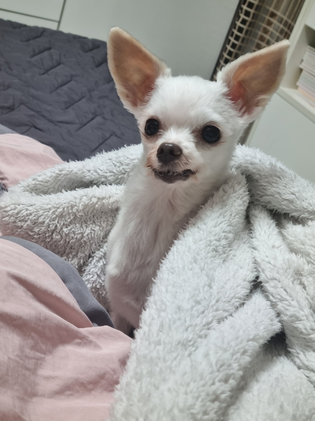 짜니소식입니다~