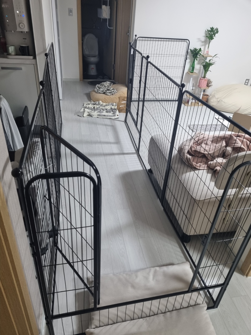 짜니소식입니다~