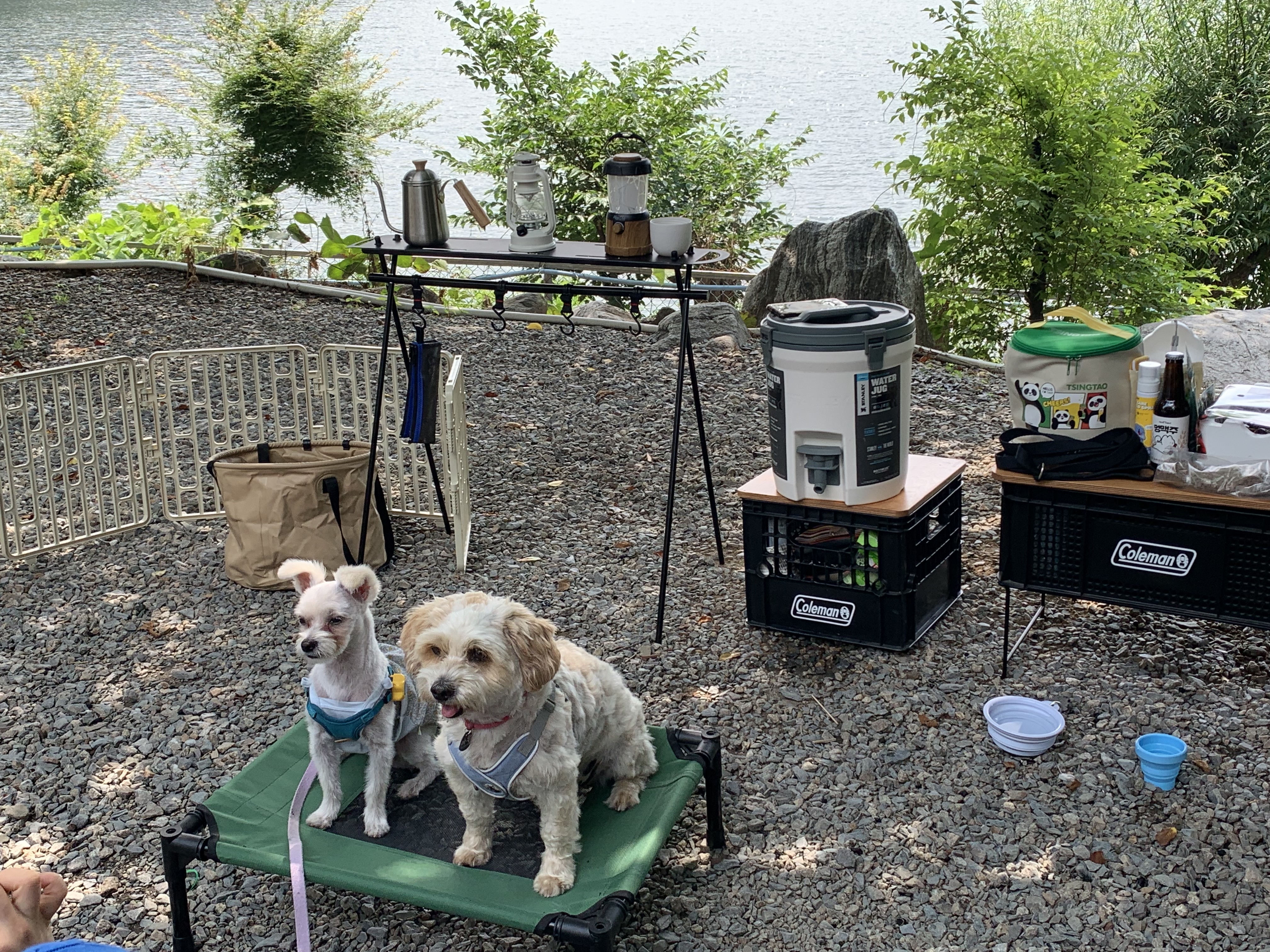 두리(소일이) 1년 이야기 