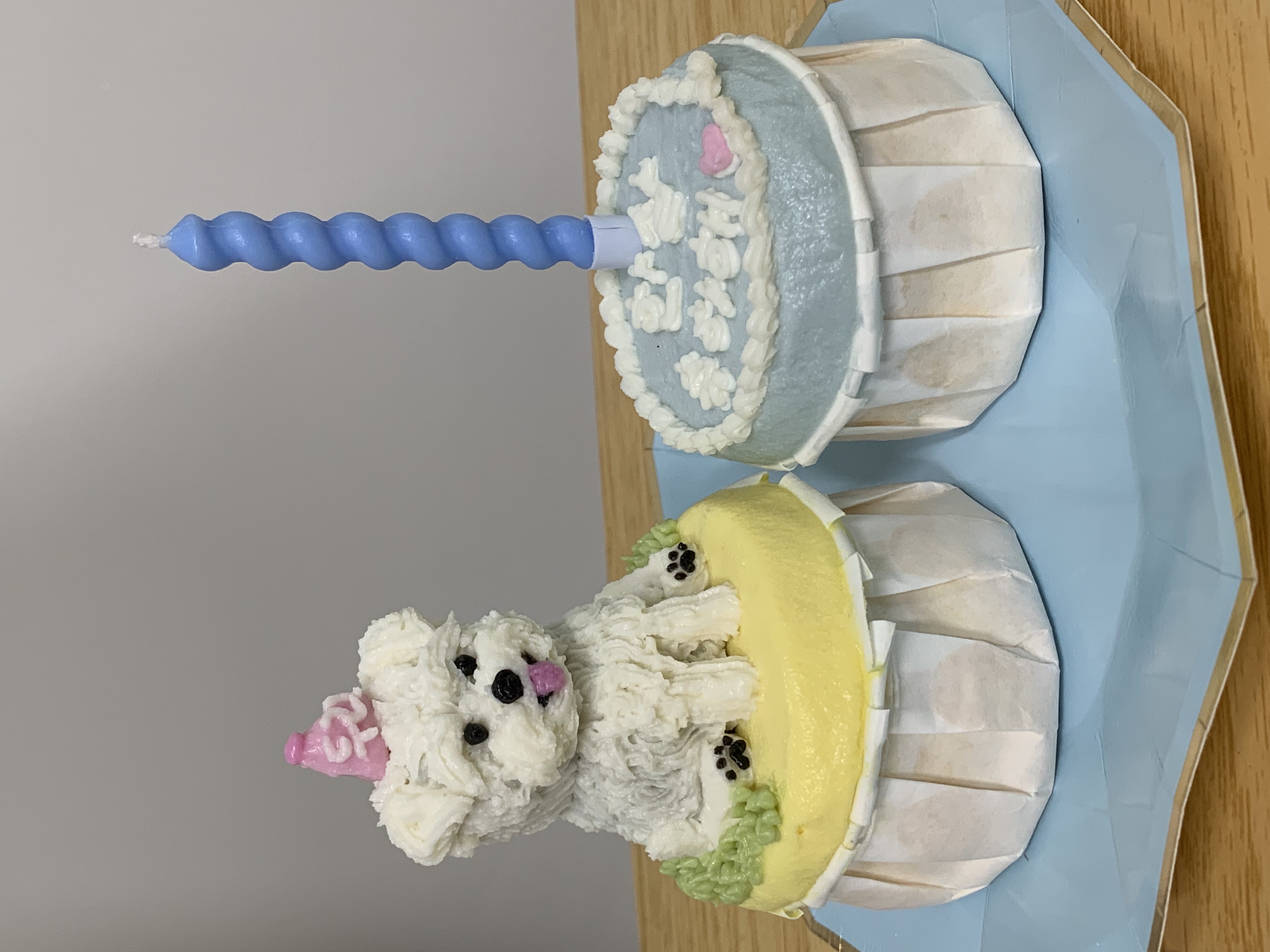 두리(소일이) 1년 이야기 