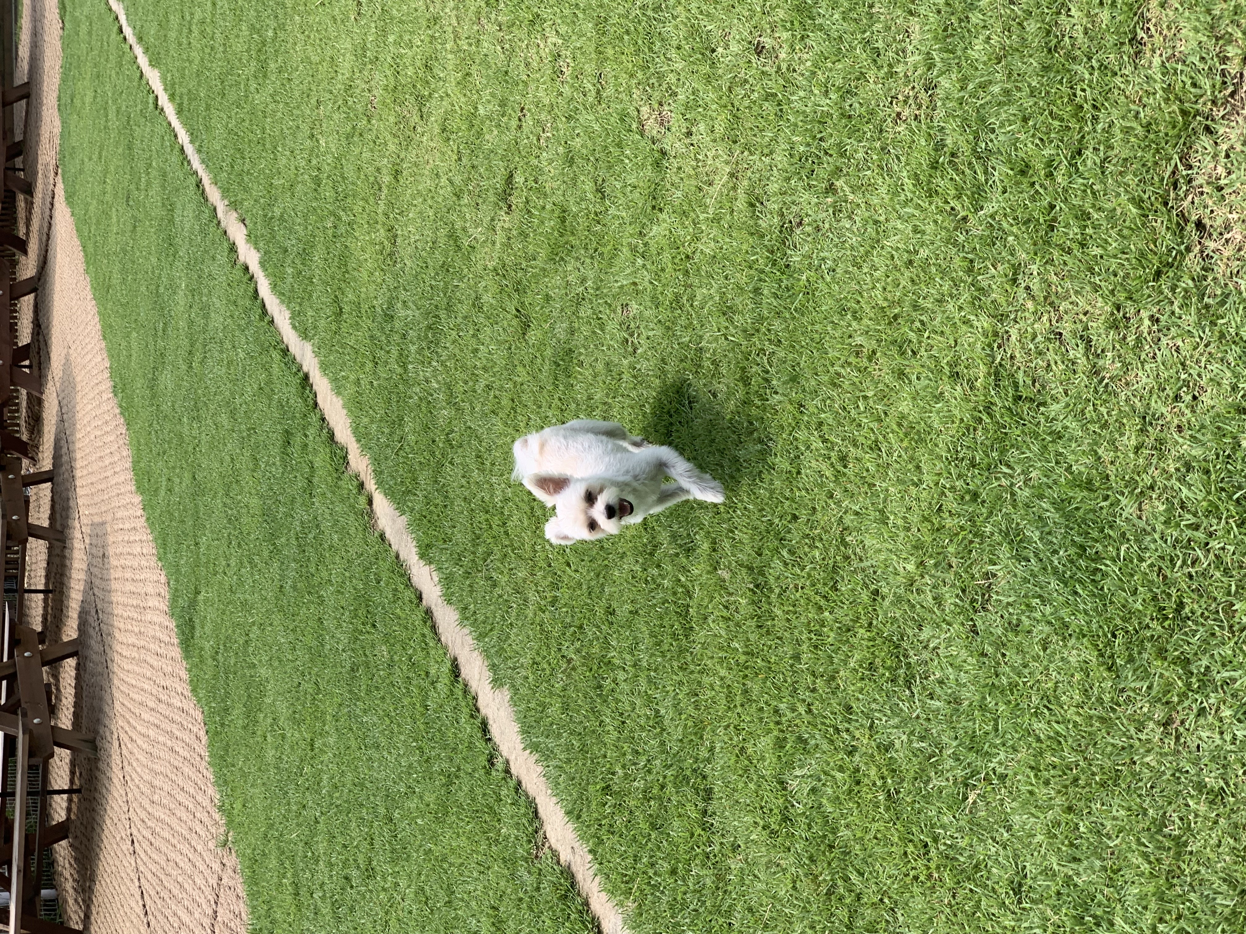 두리(소일이) 1년 이야기 