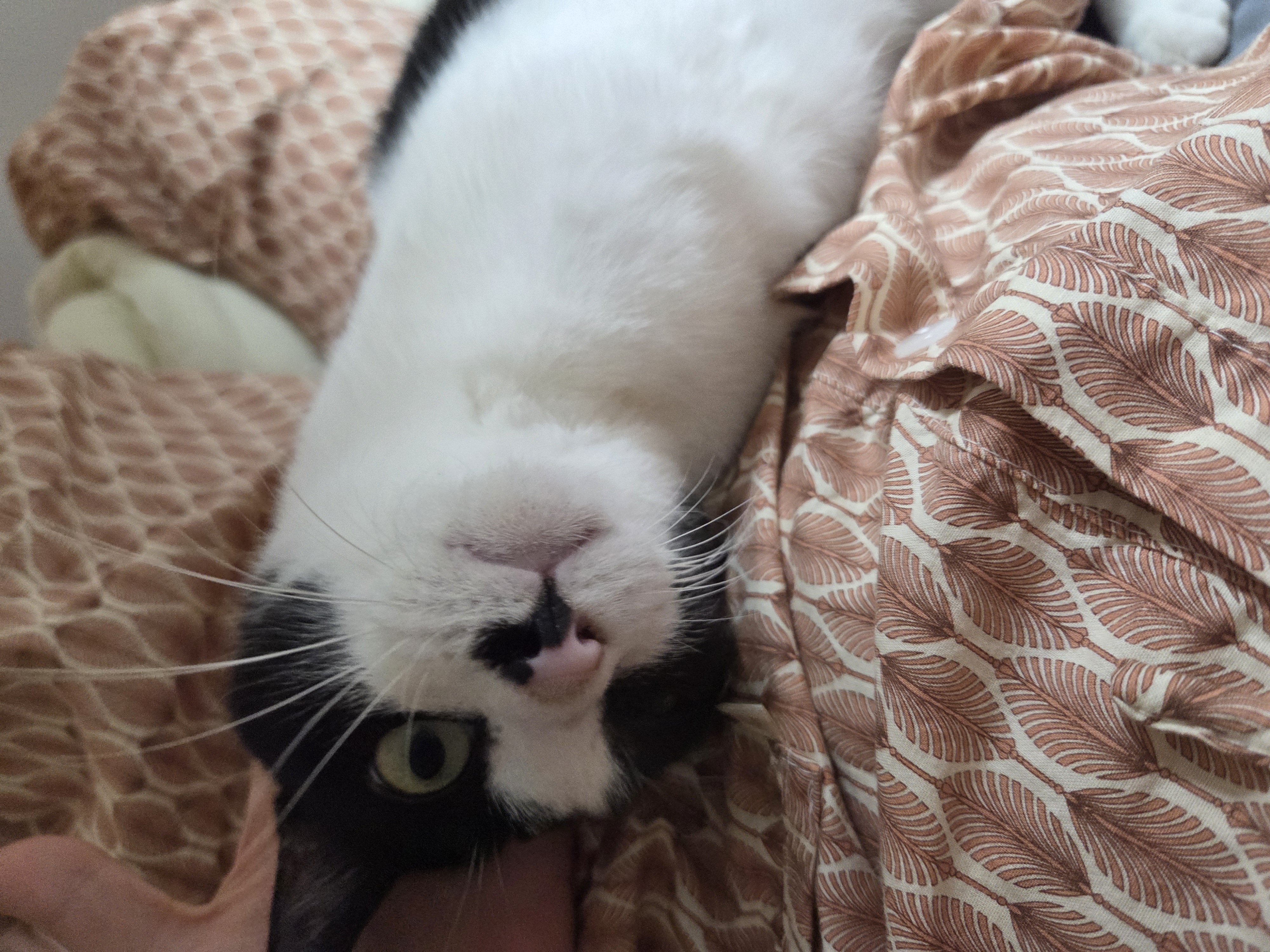 바담이 1년 후기