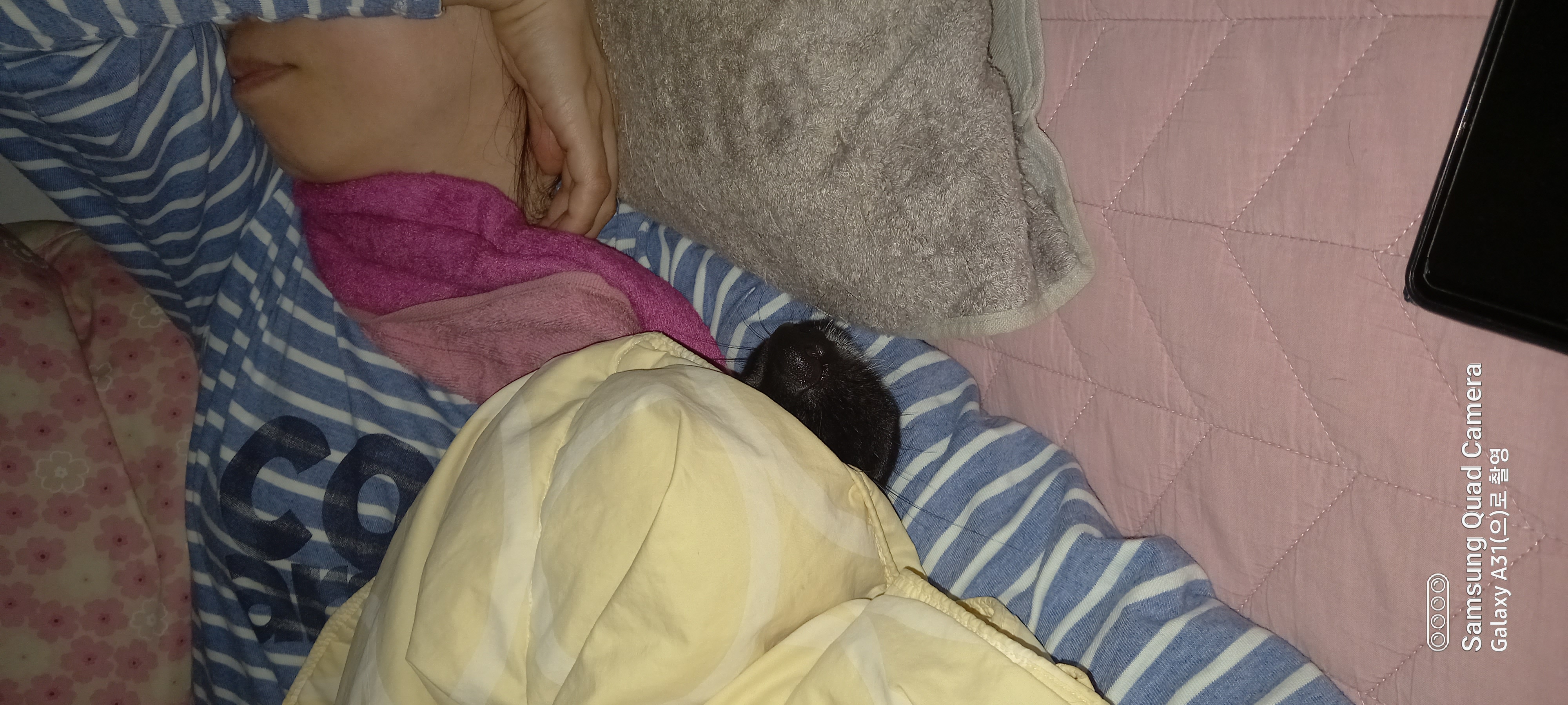 쫑이(무양이) 동네 적응기...