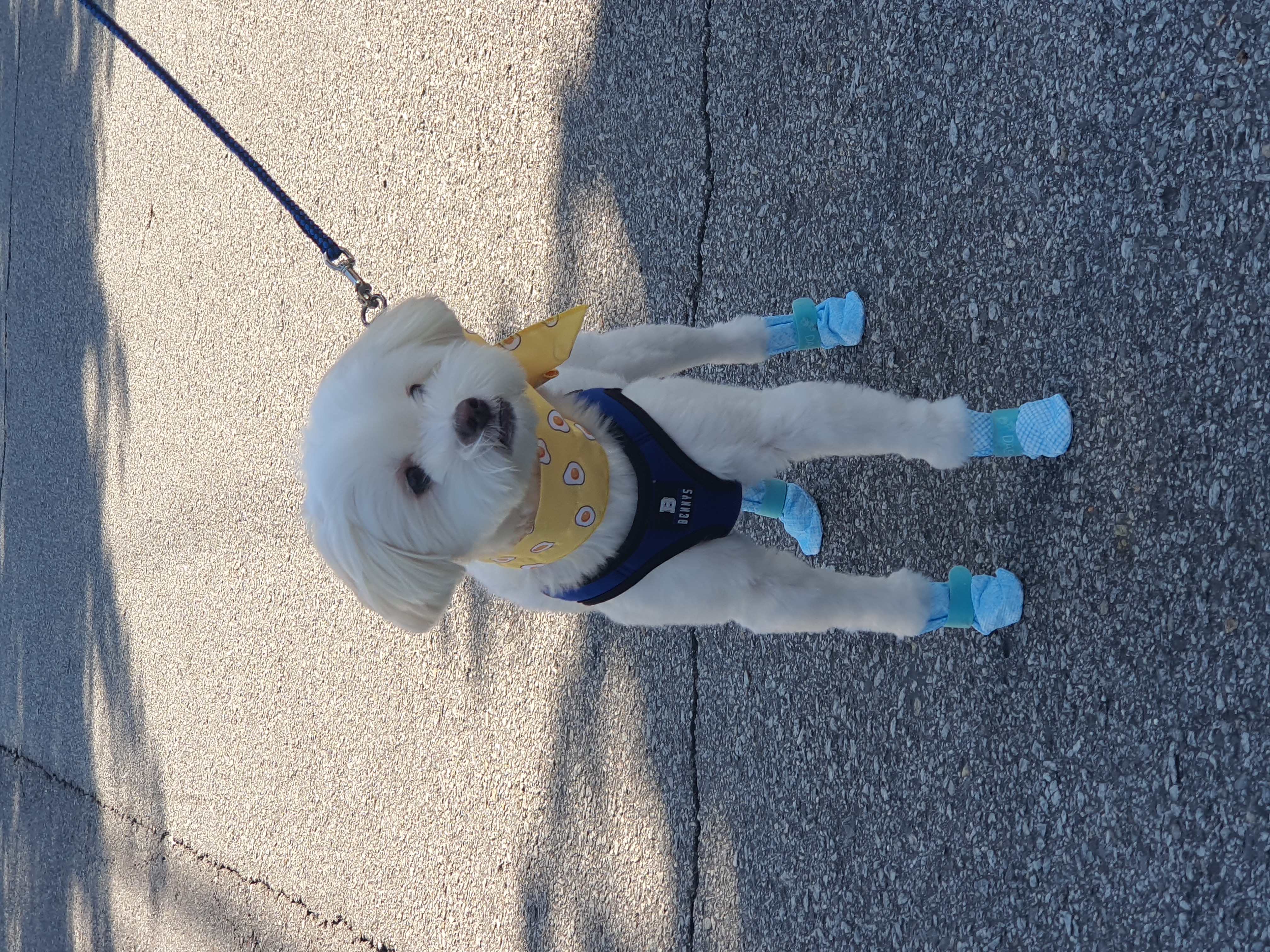 아산 아원이 가을이 벌써 1년이네요