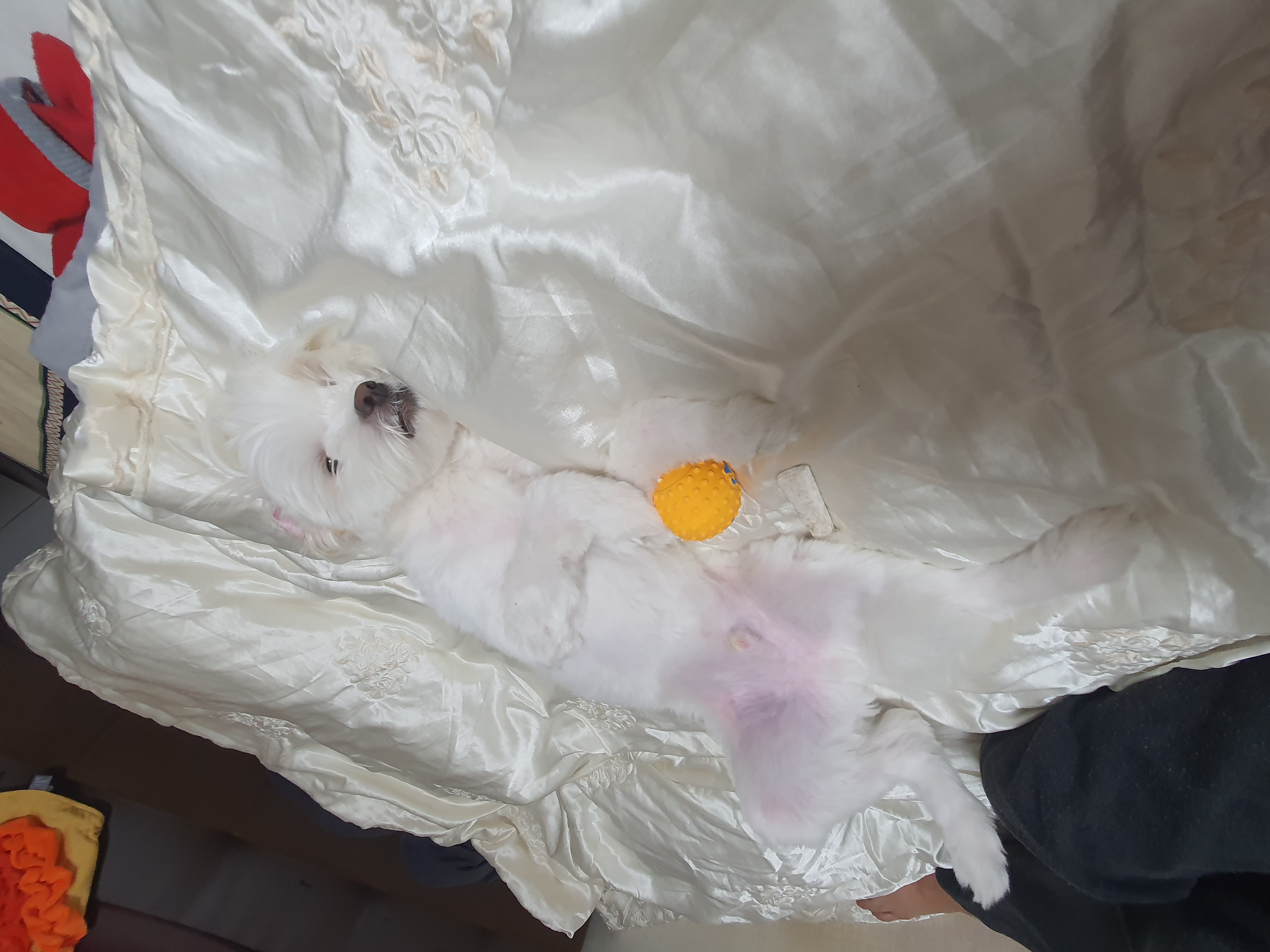 아산 아원이 가을이 벌써 1년이네요