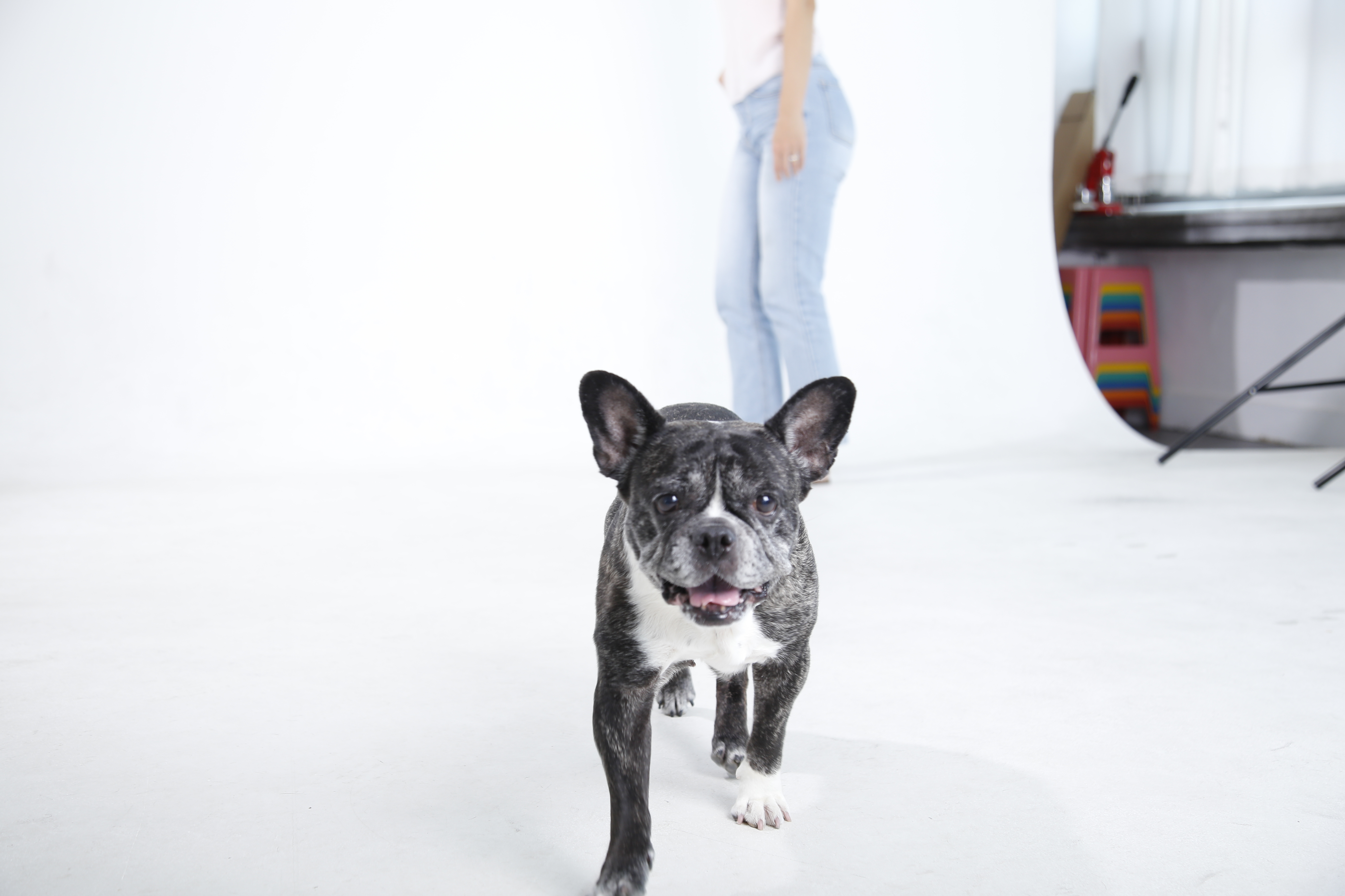 호이 임보일기 💗