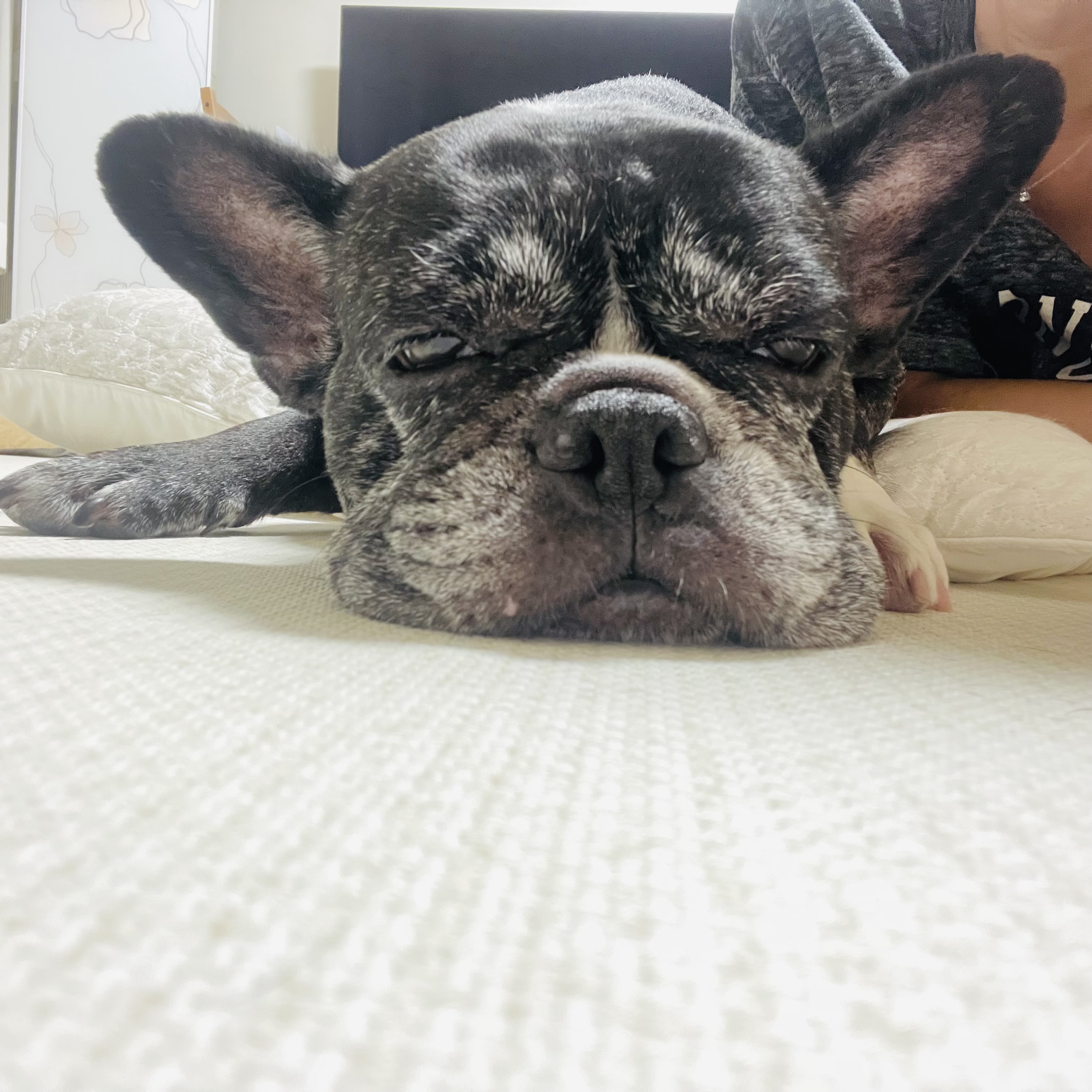 호이 임보일기 💗