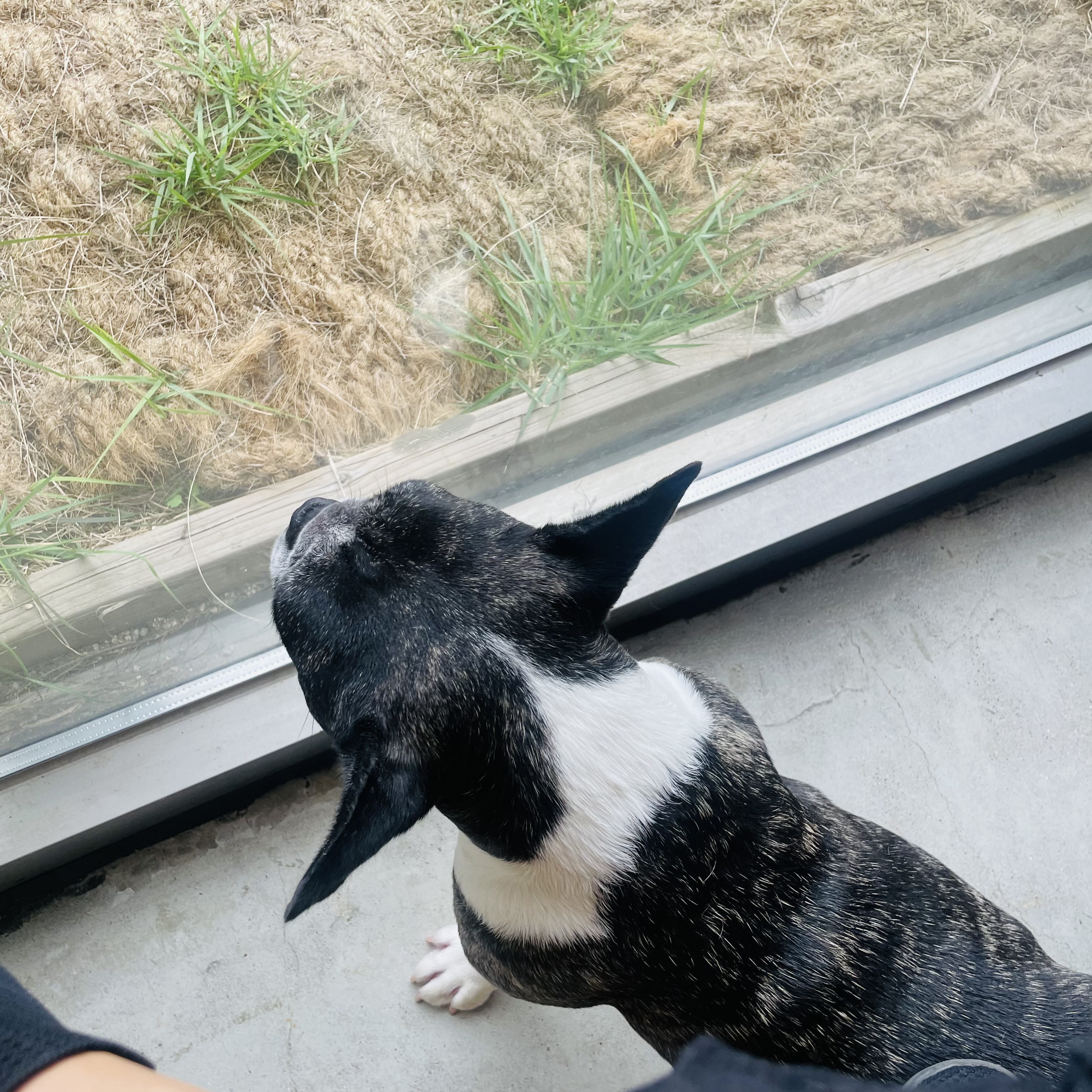 호이 임보일기 💗