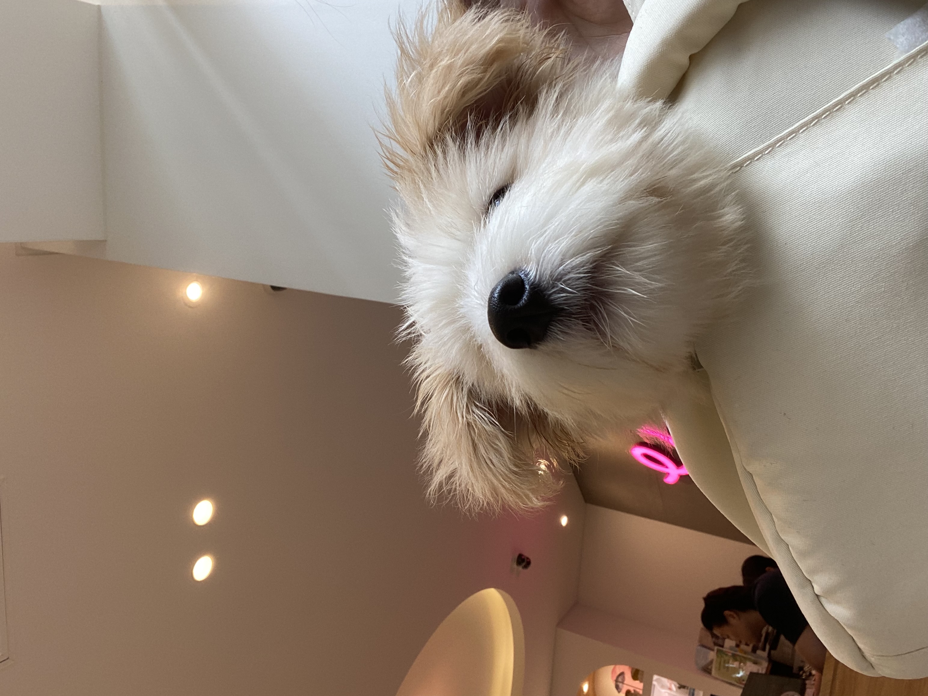 🎄트리(강빛이) 1개월 후기