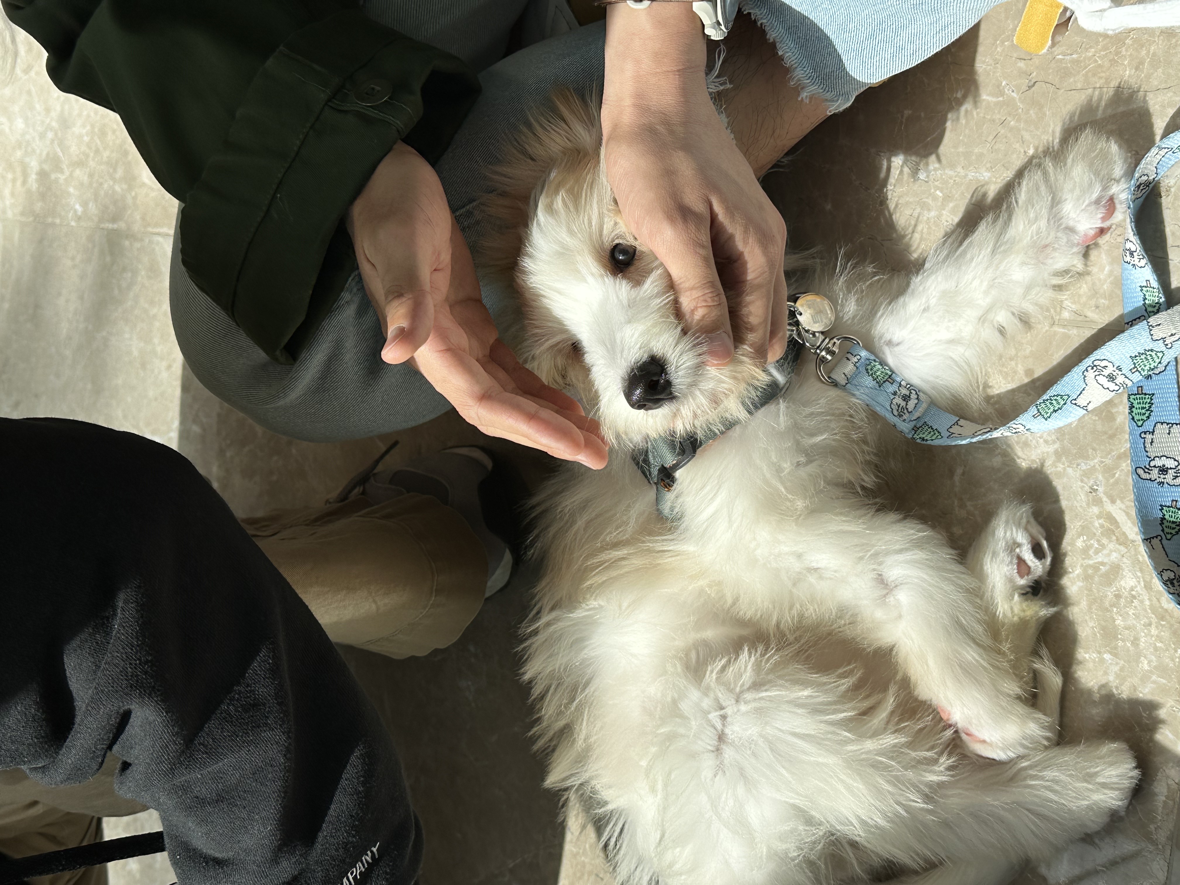 🎄트리(강빛이) 1개월 후기