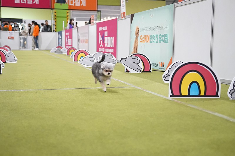 자반(소삼)이 입양 1년차 후기 💖