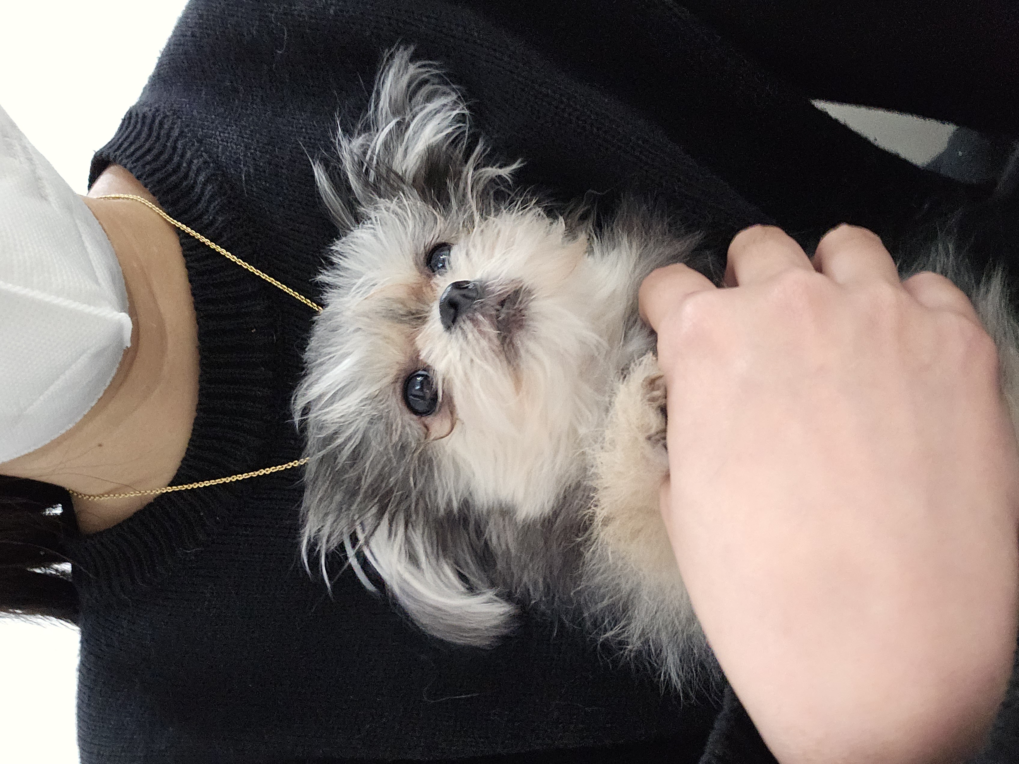 자반(소삼)이 입양 1년차 후기 💖