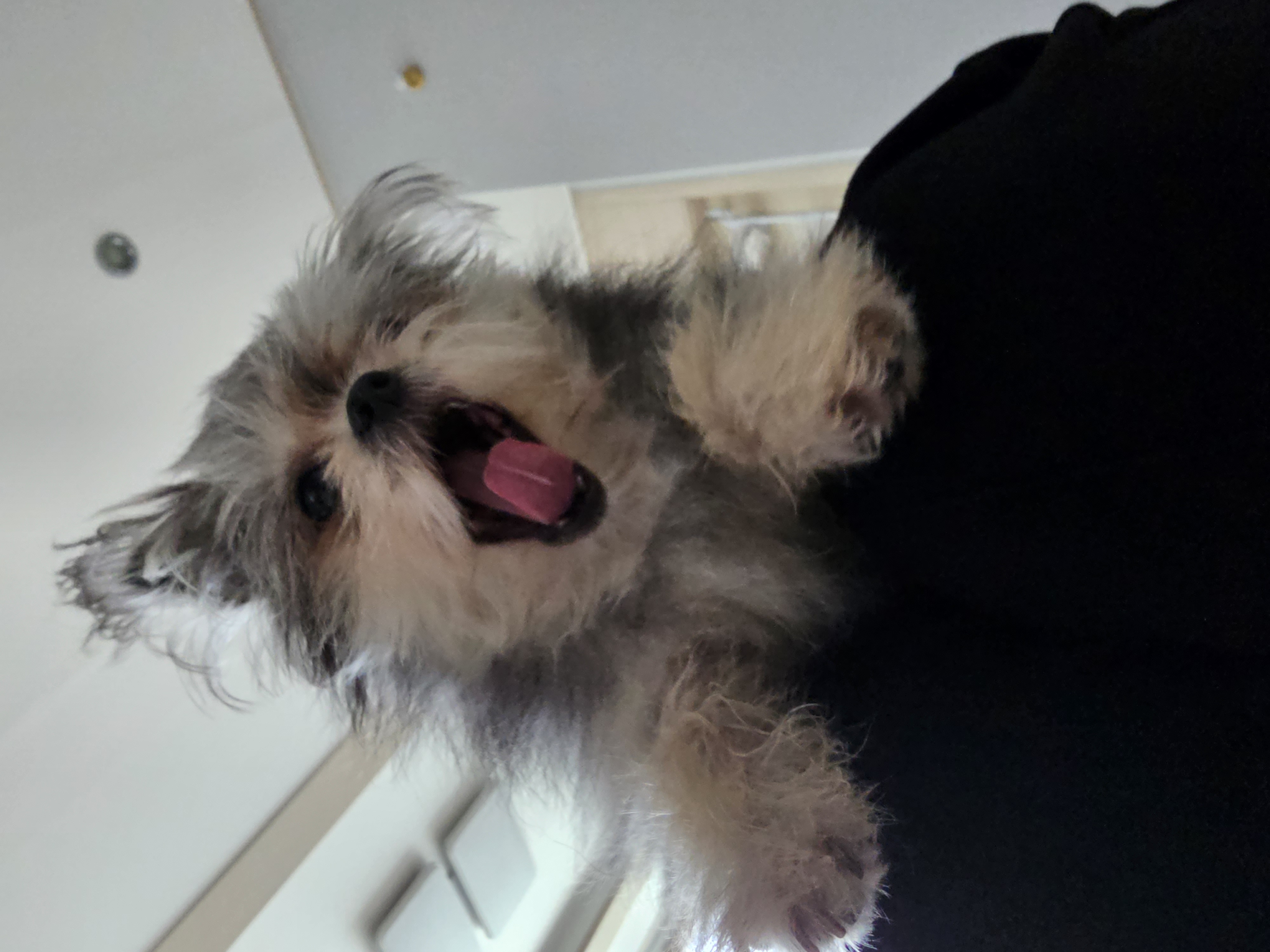 자반(소삼)이 입양 1년차 후기 💖