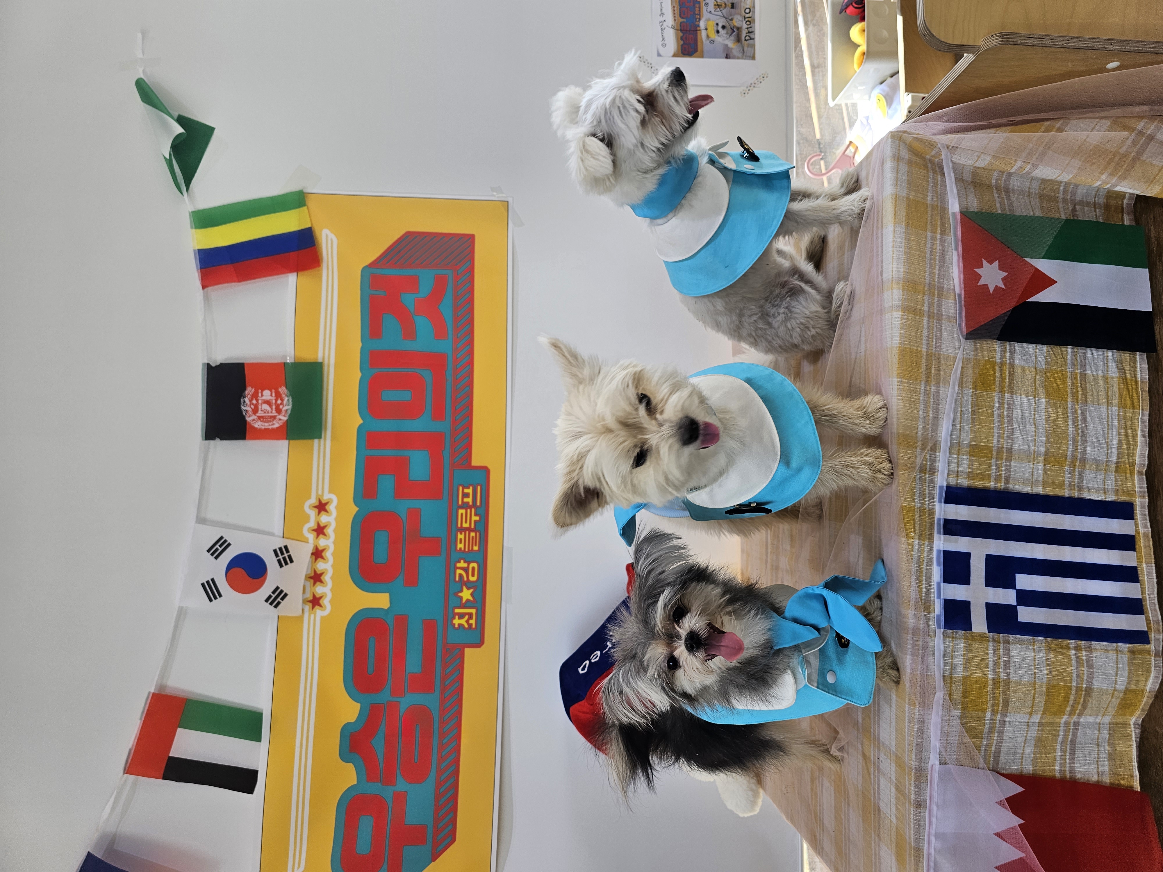 자반(소삼)이 입양 1년차 후기 💖