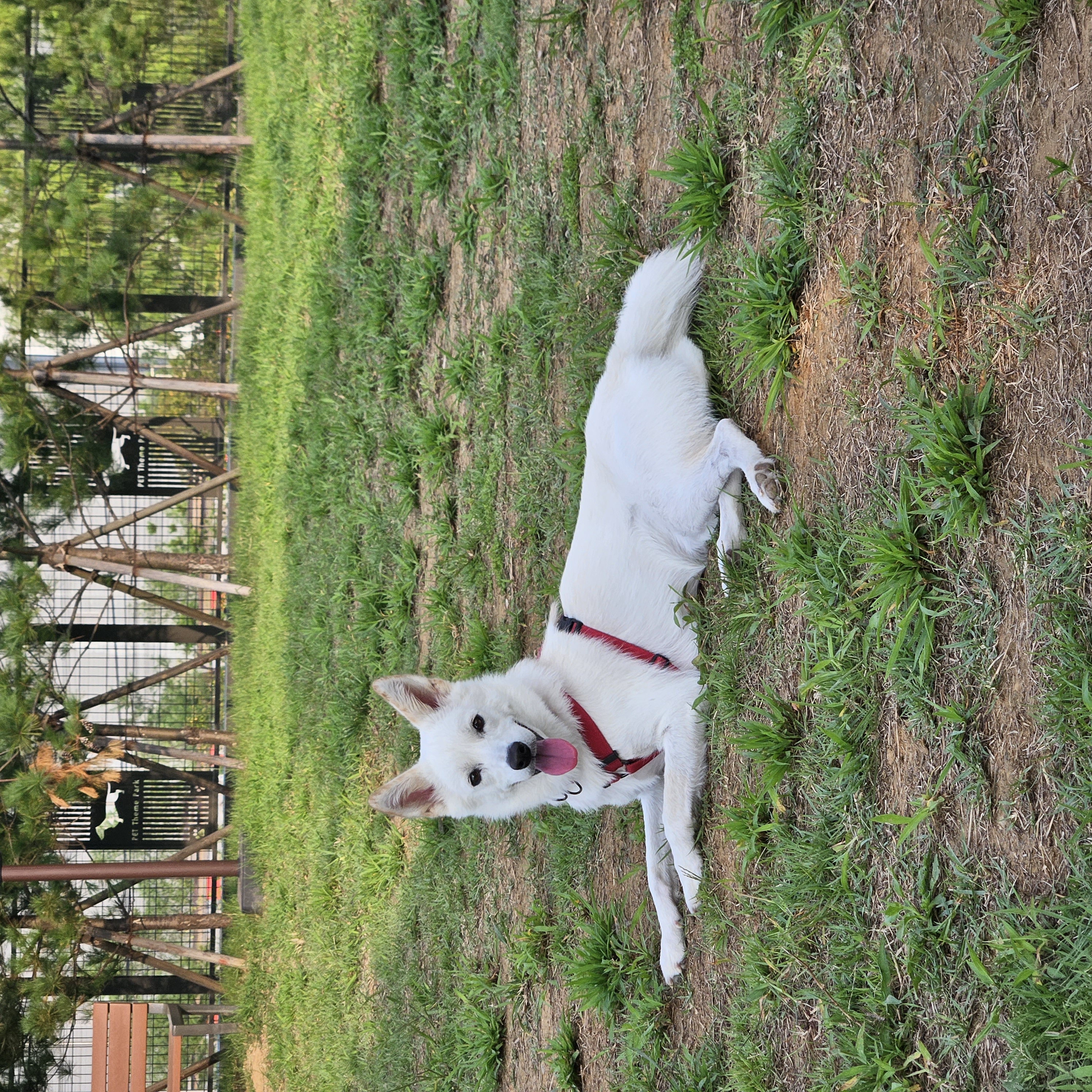 만세 입양 1년차 후기♡입니다