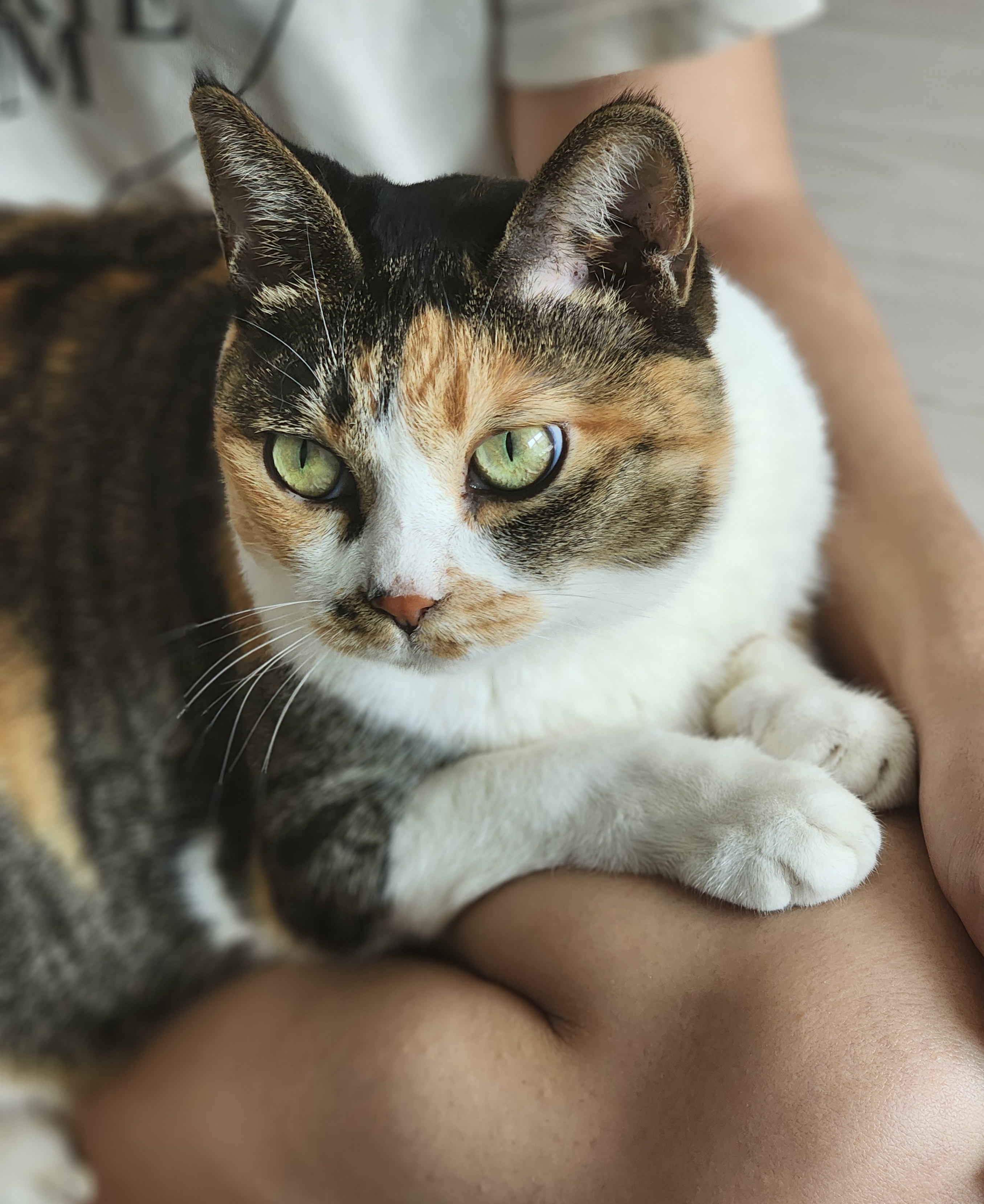 여름에 만난 샹떼와 3개월이 돼 가을을 맞이했습니다!