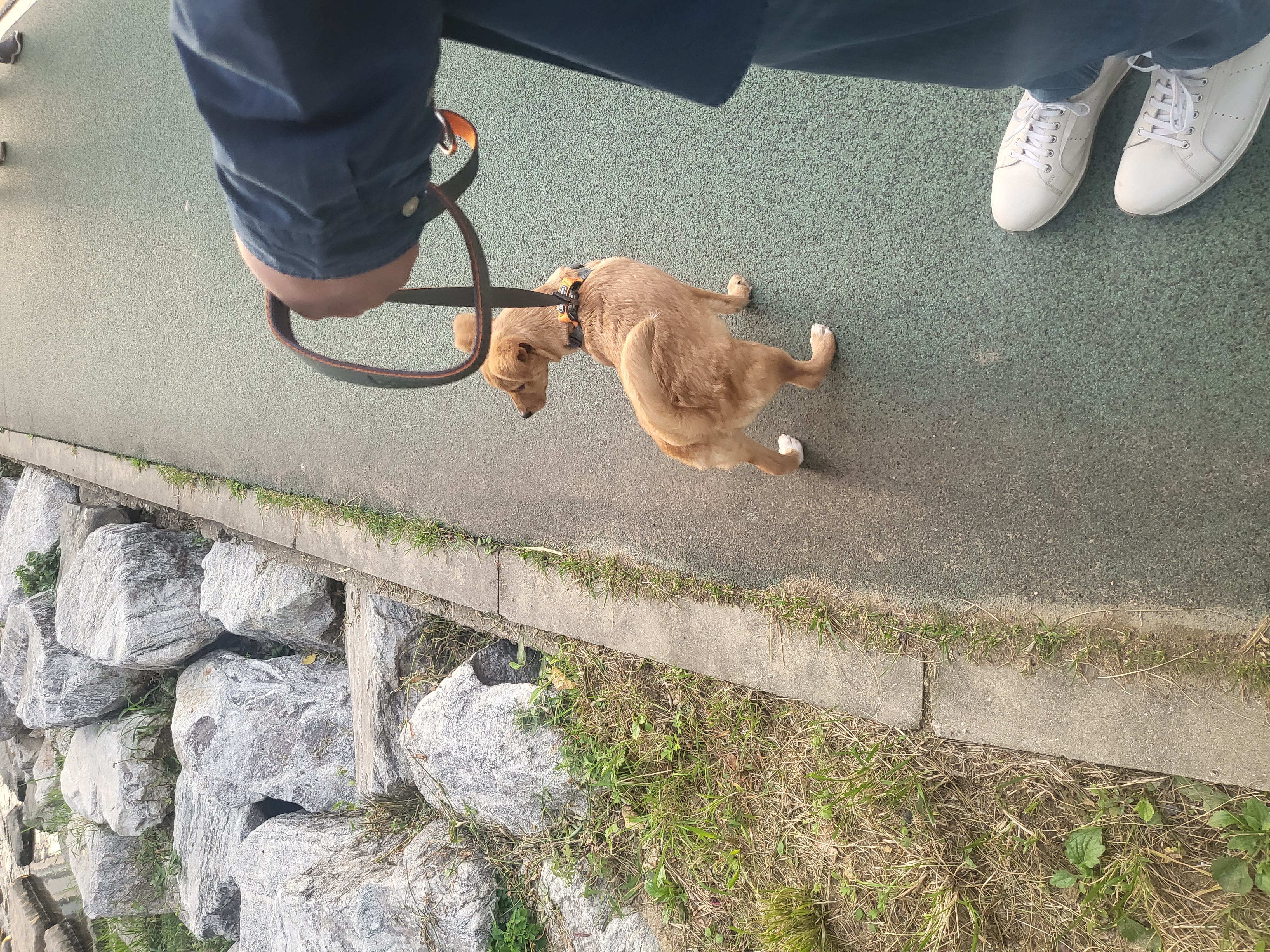 찌그(구 깜빛이) 일주일 후기입니다:D