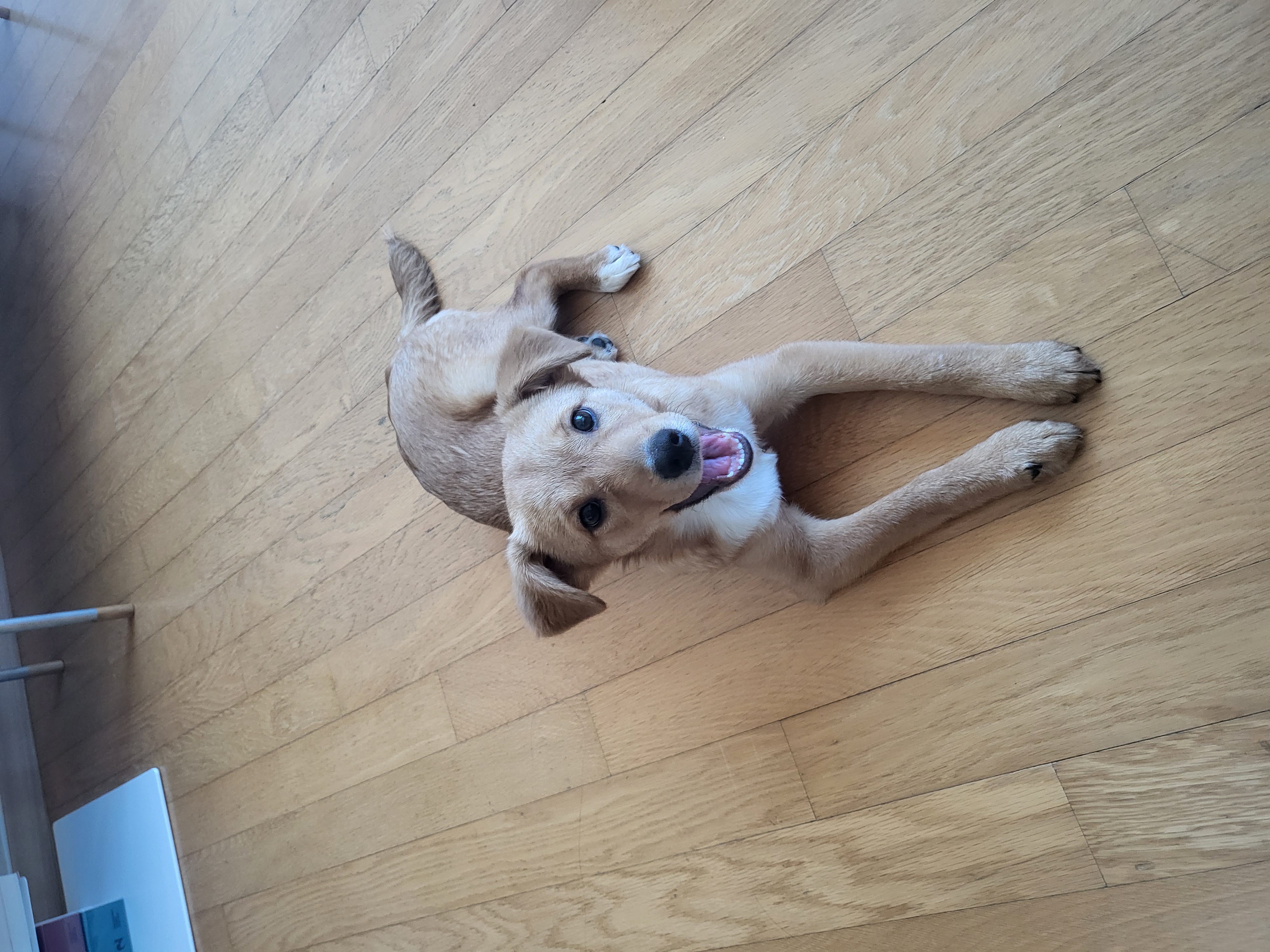 찌그(구 깜빛이) 일주일 후기입니다:D