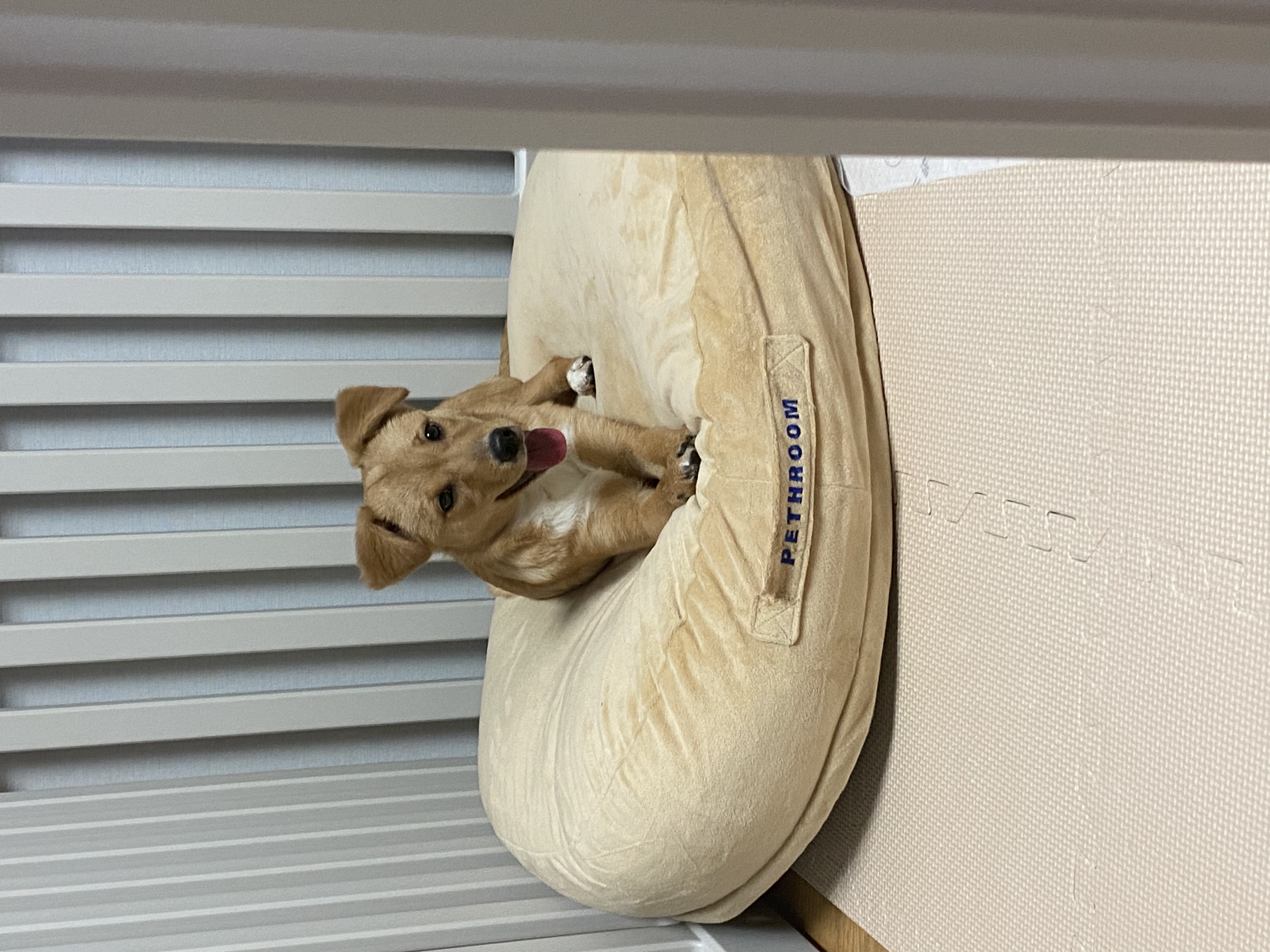 찌그(구 깜빛이) 일주일 후기입니다:D