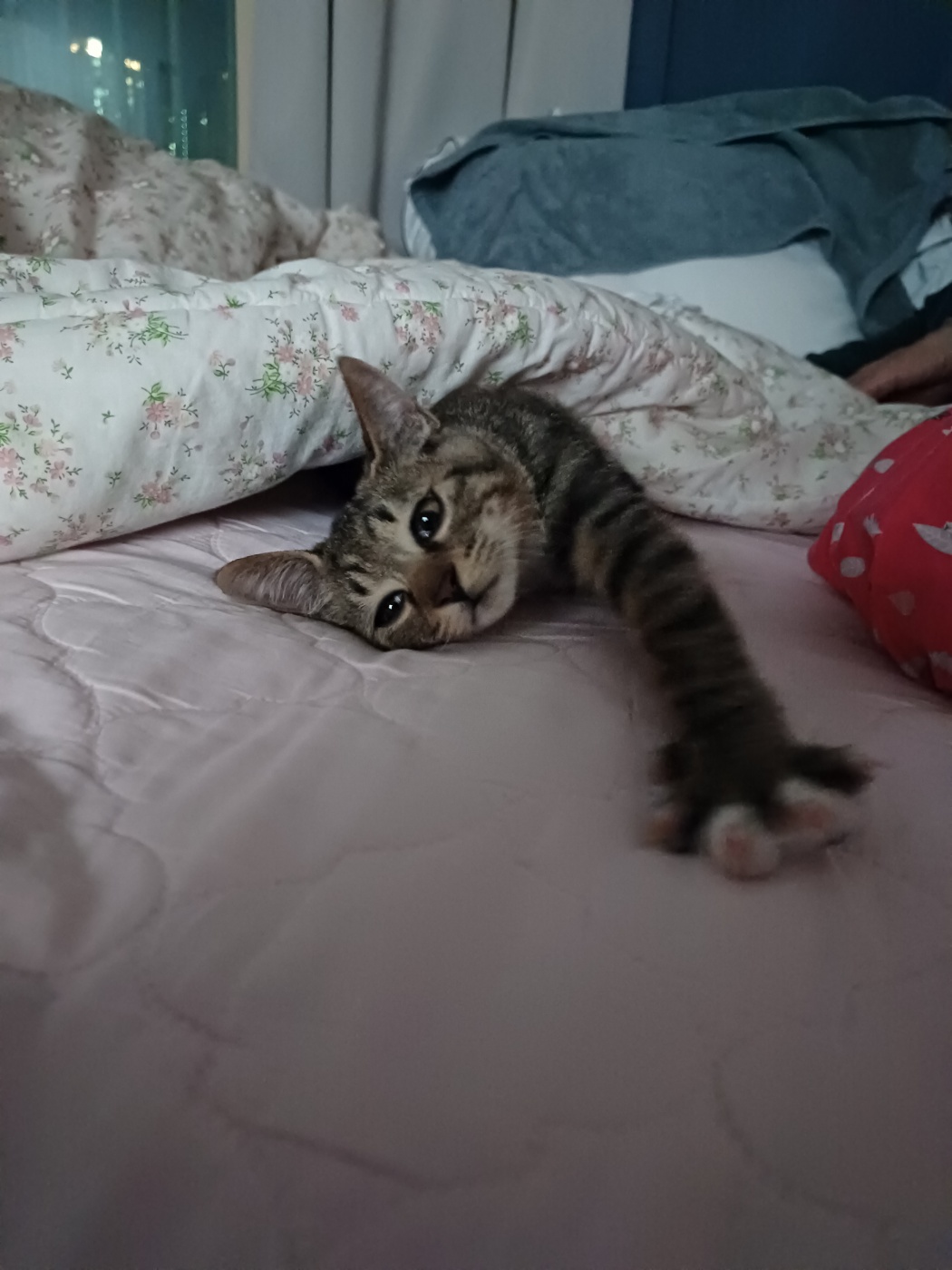 천방지축 승희온지 5일째