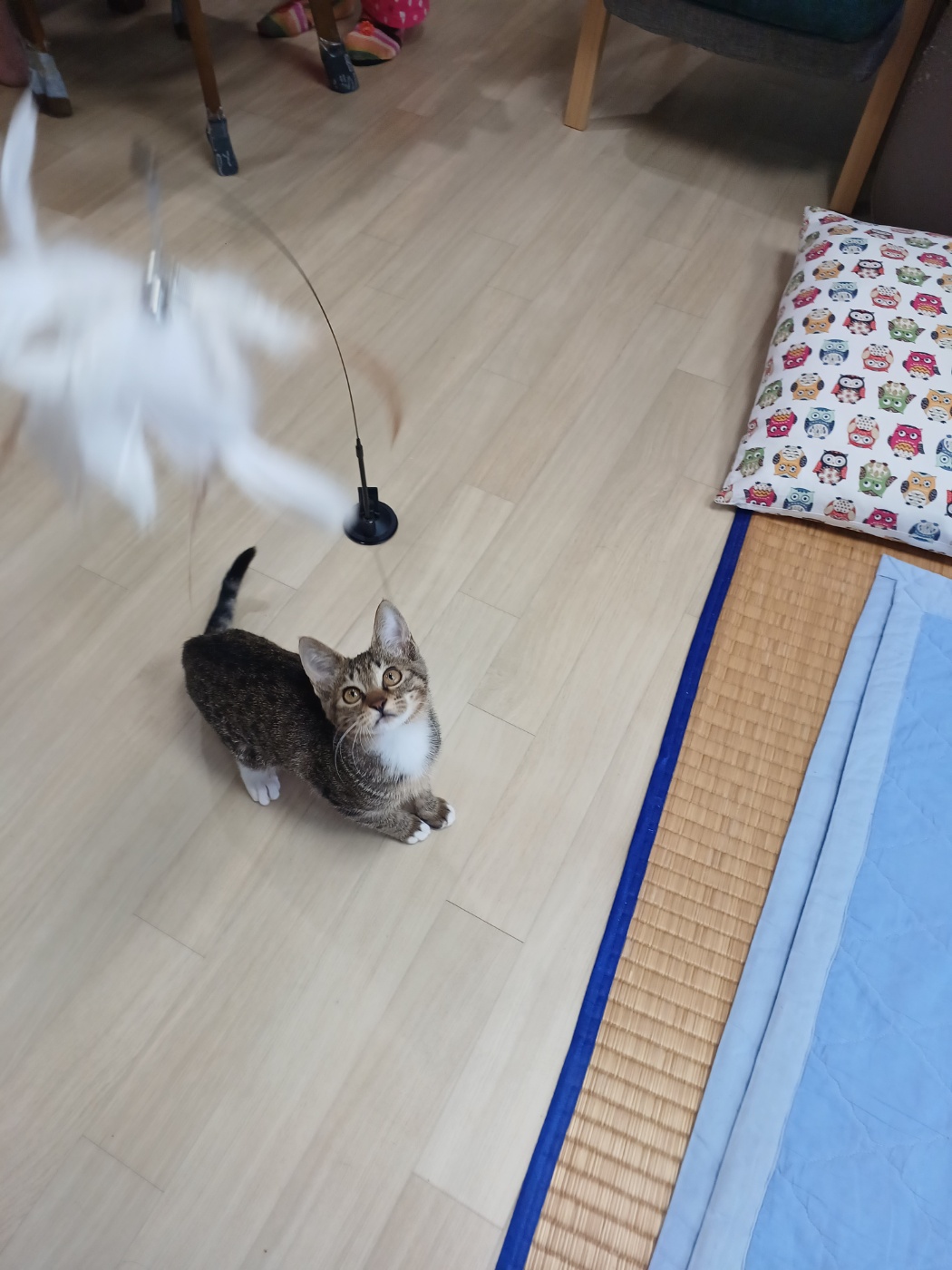 천방지축 승희온지 5일째