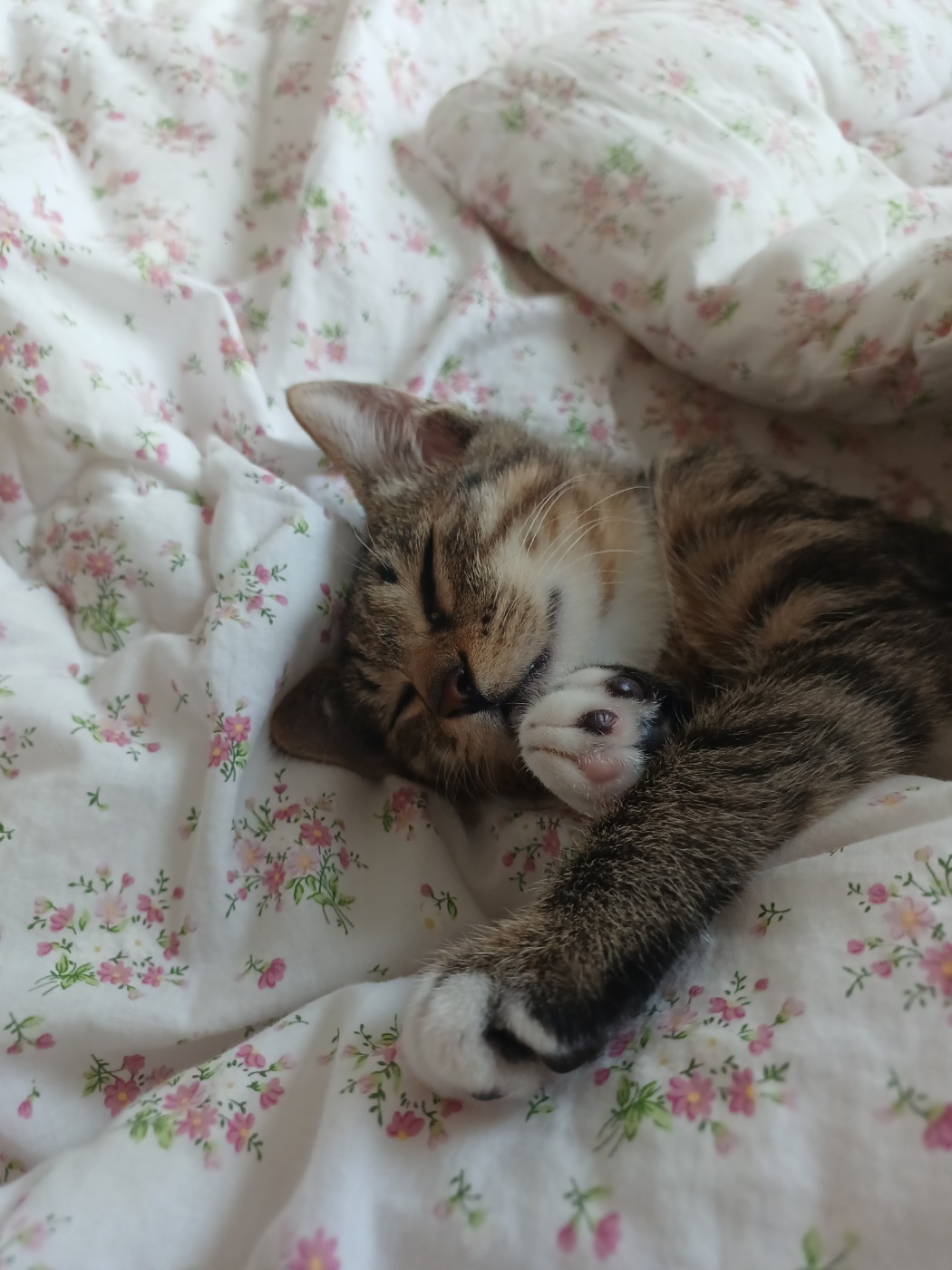 천방지축 승희온지 5일째