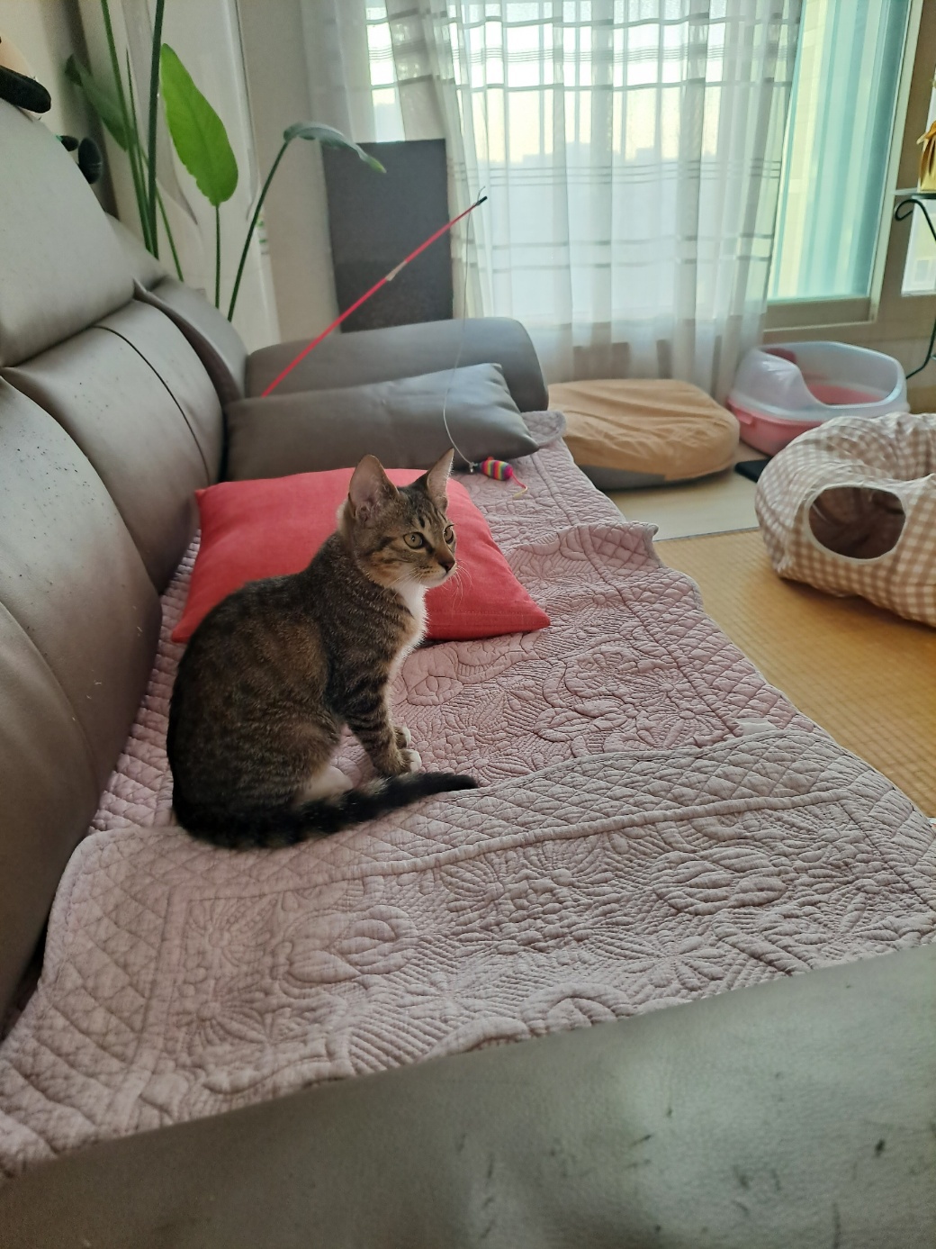 천방지축 승희온지 5일째