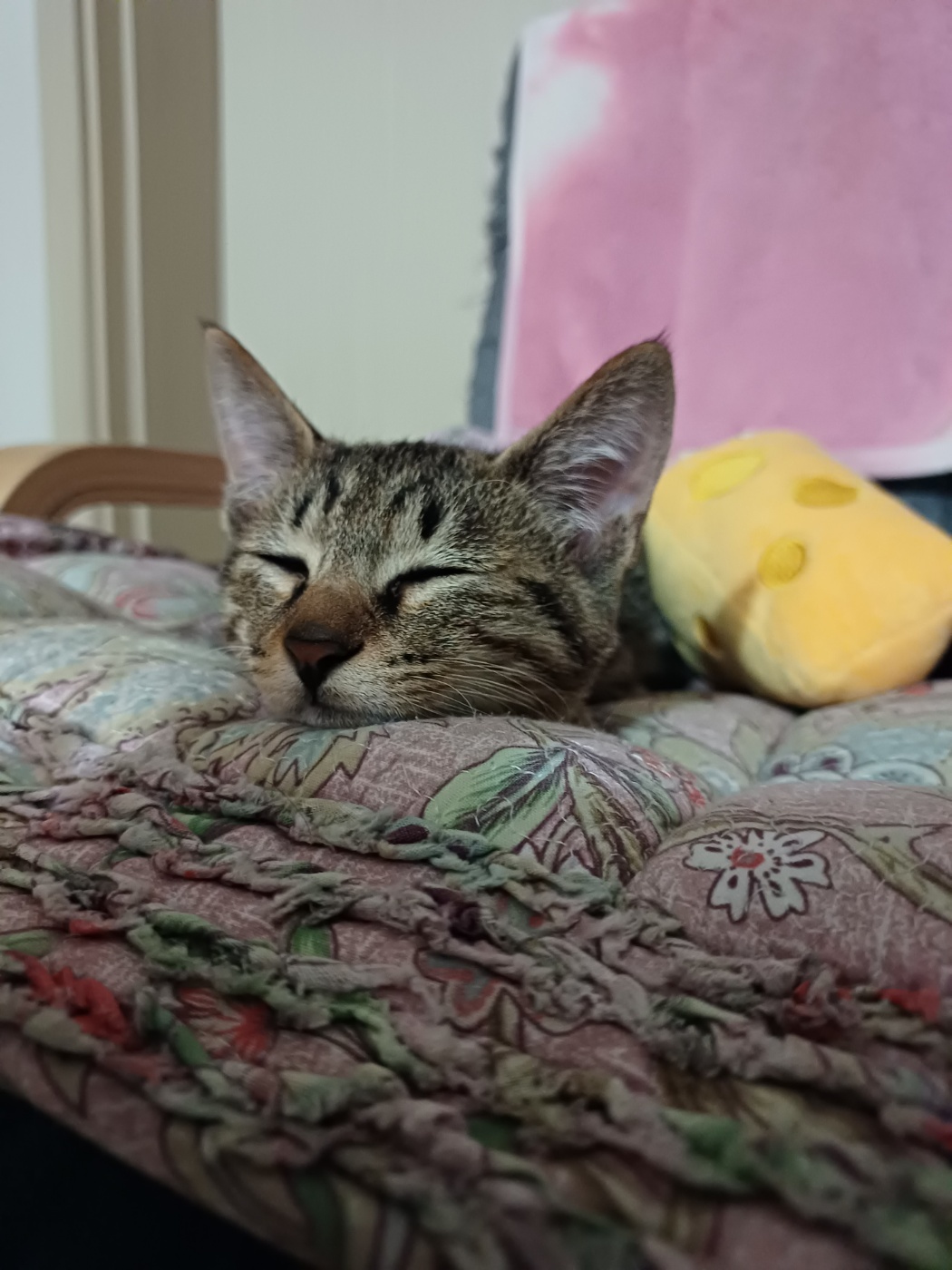 천방지축 승희온지 5일째