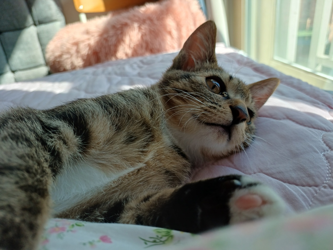 천방지축 승희온지 5일째