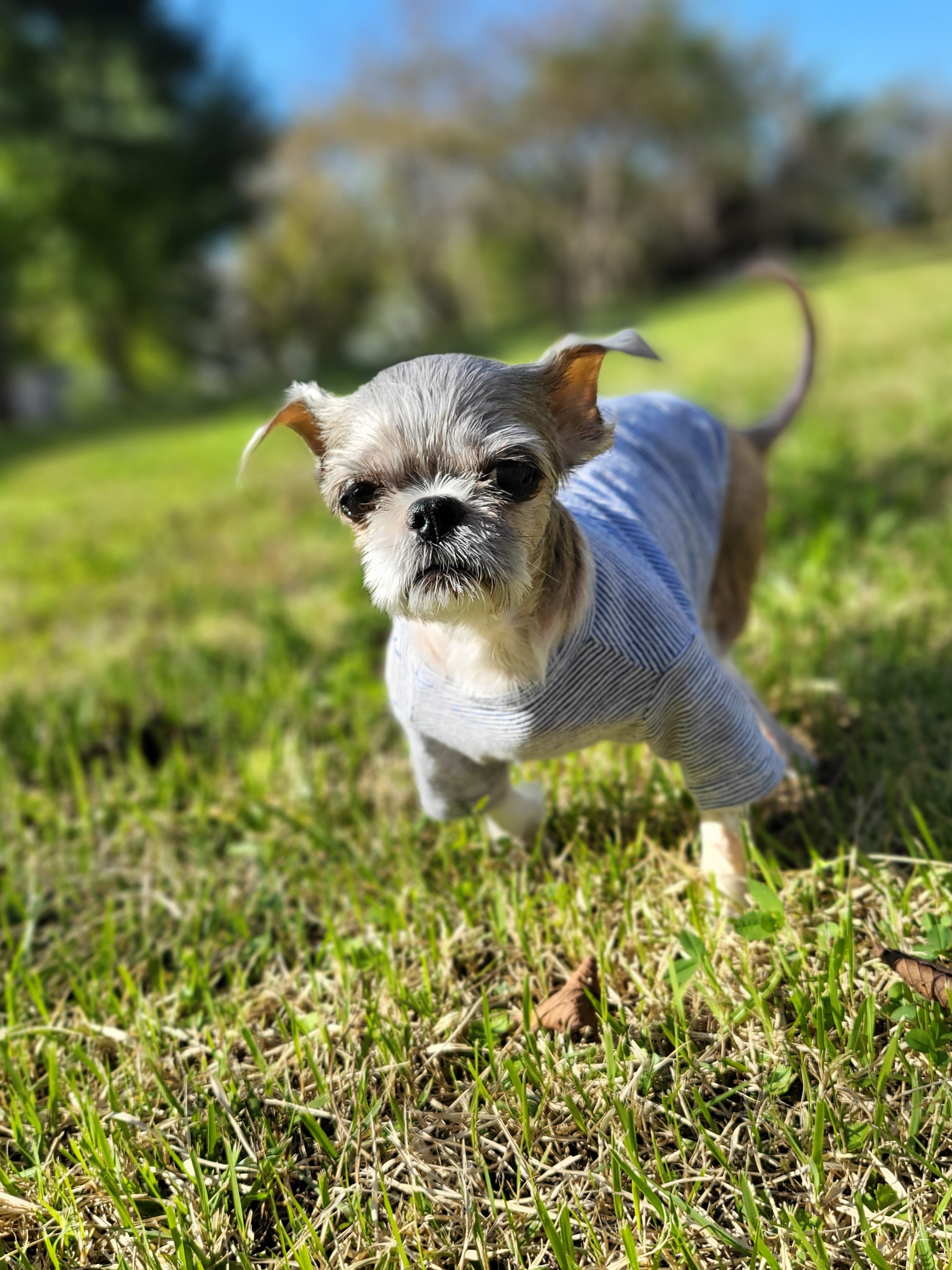 율무 수수(춘식)에게 귀여운 여동생이 생겼어요!