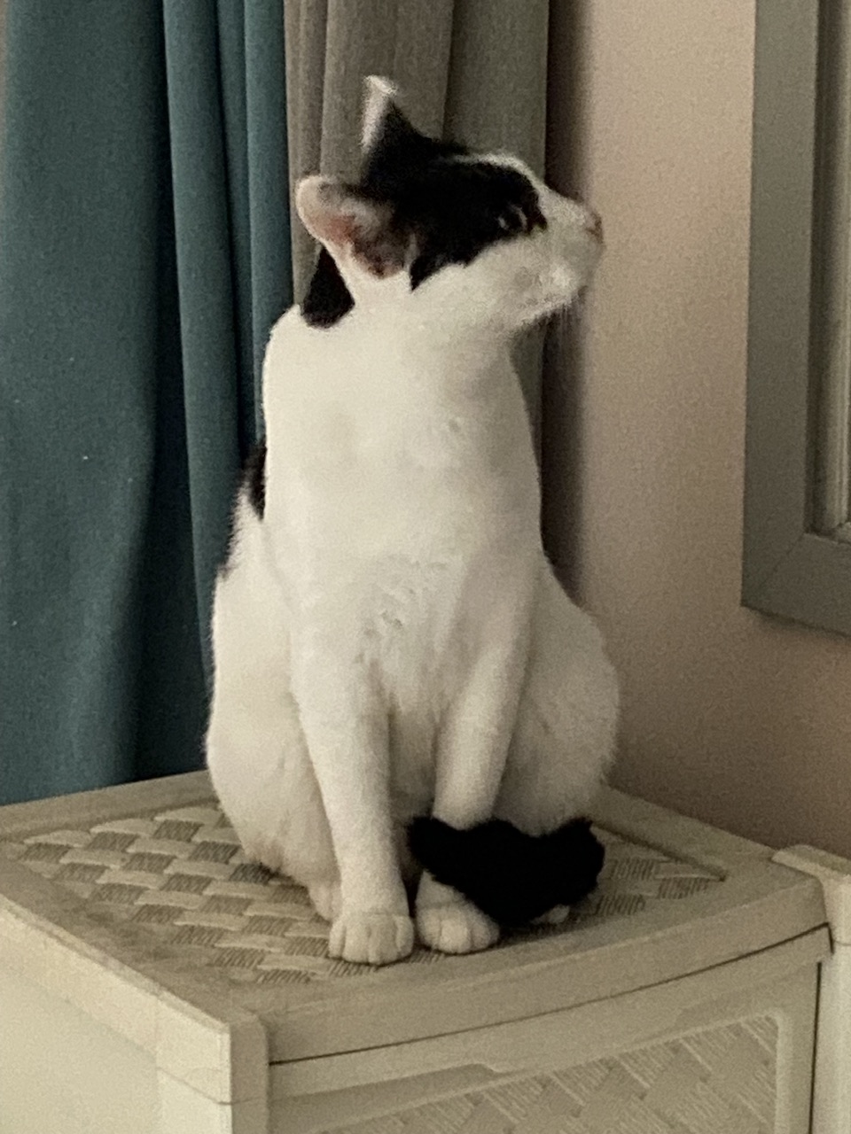 은하(aka늘찬)와 만난지 한달째 