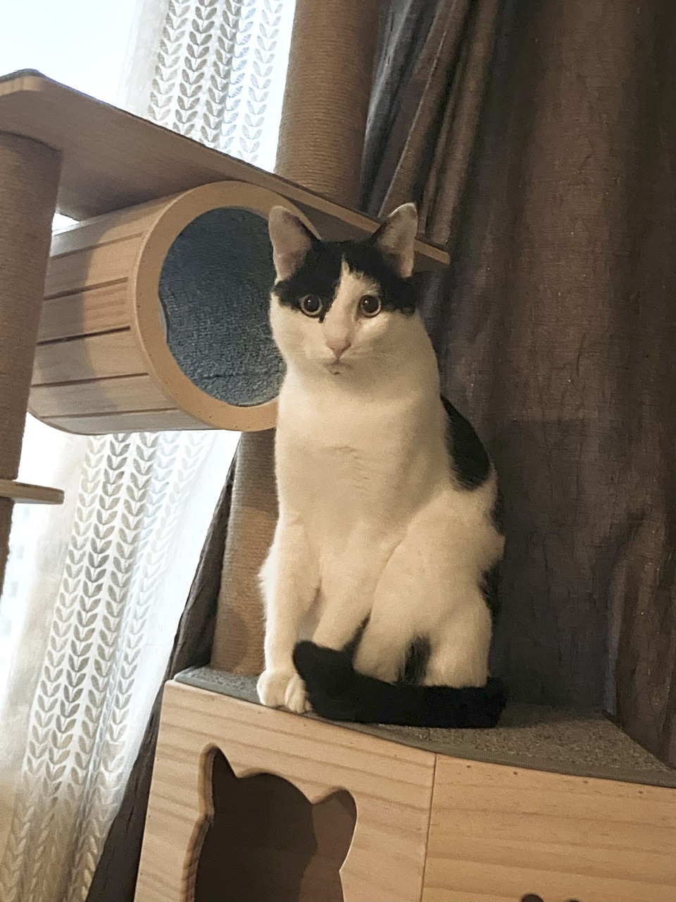 은하(aka늘찬)와 만난지 한달째 