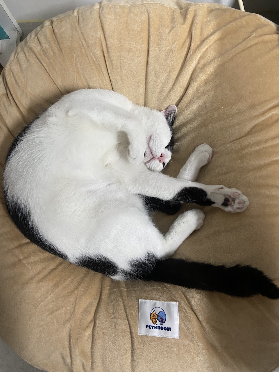 은하(aka늘찬)와 만난지 한달째 