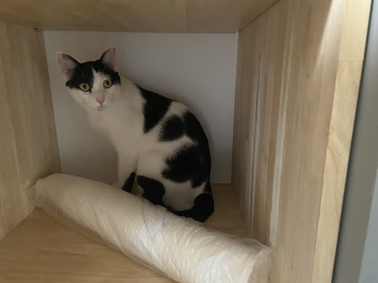 은하(aka늘찬)와 만난지 한달째 