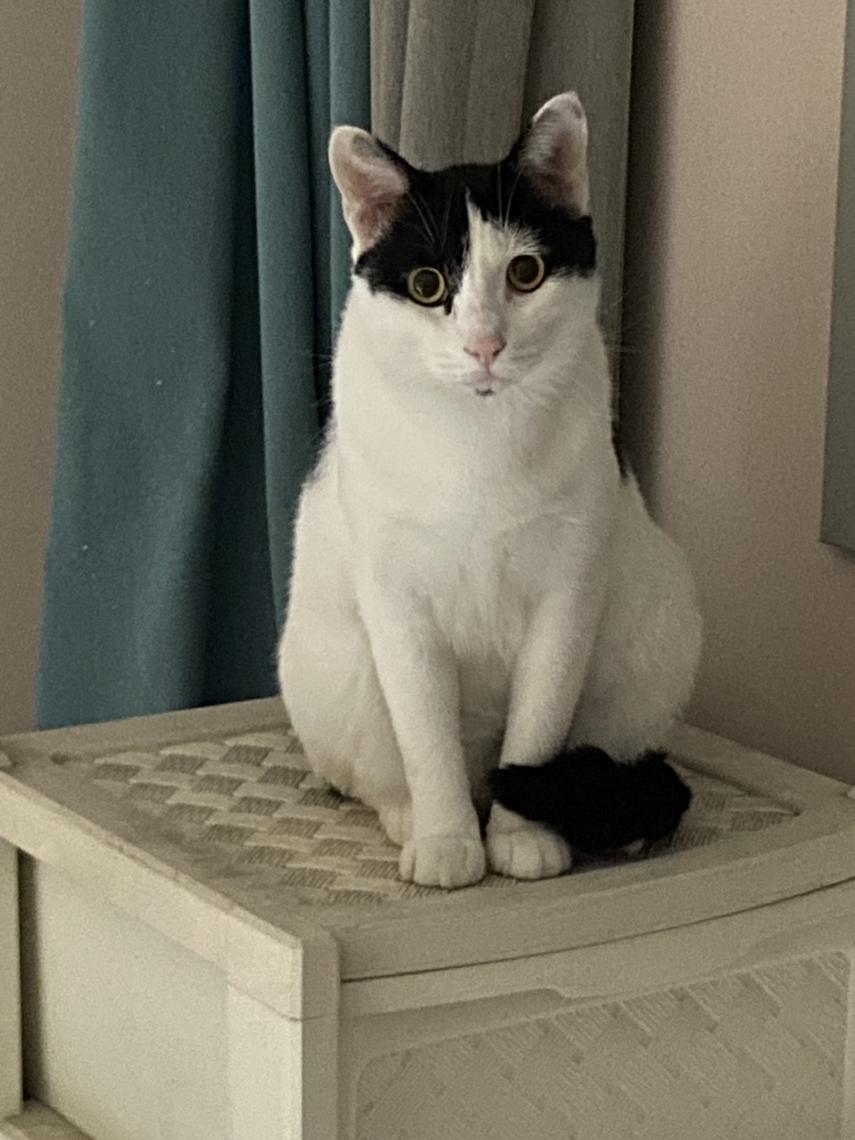 은하(aka늘찬)와 만난지 한달째 