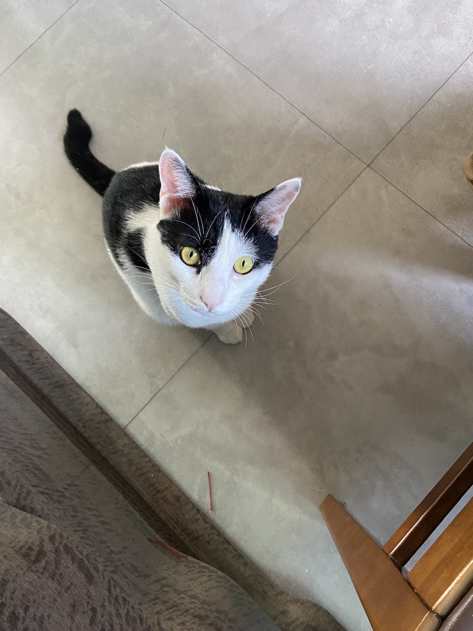 은하(aka늘찬)와 만난지 한달째 