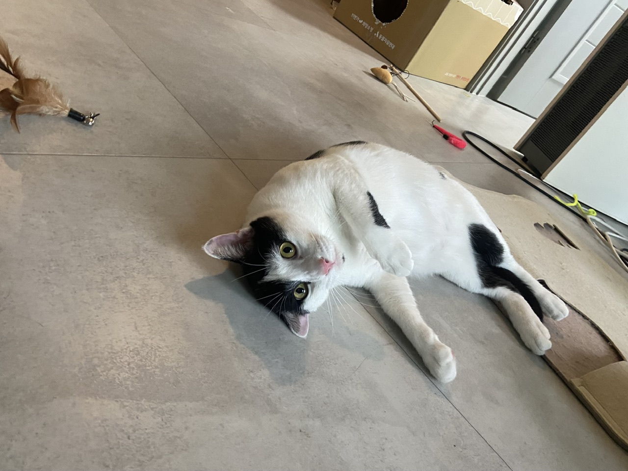 은하(aka늘찬)와 만난지 한달째 