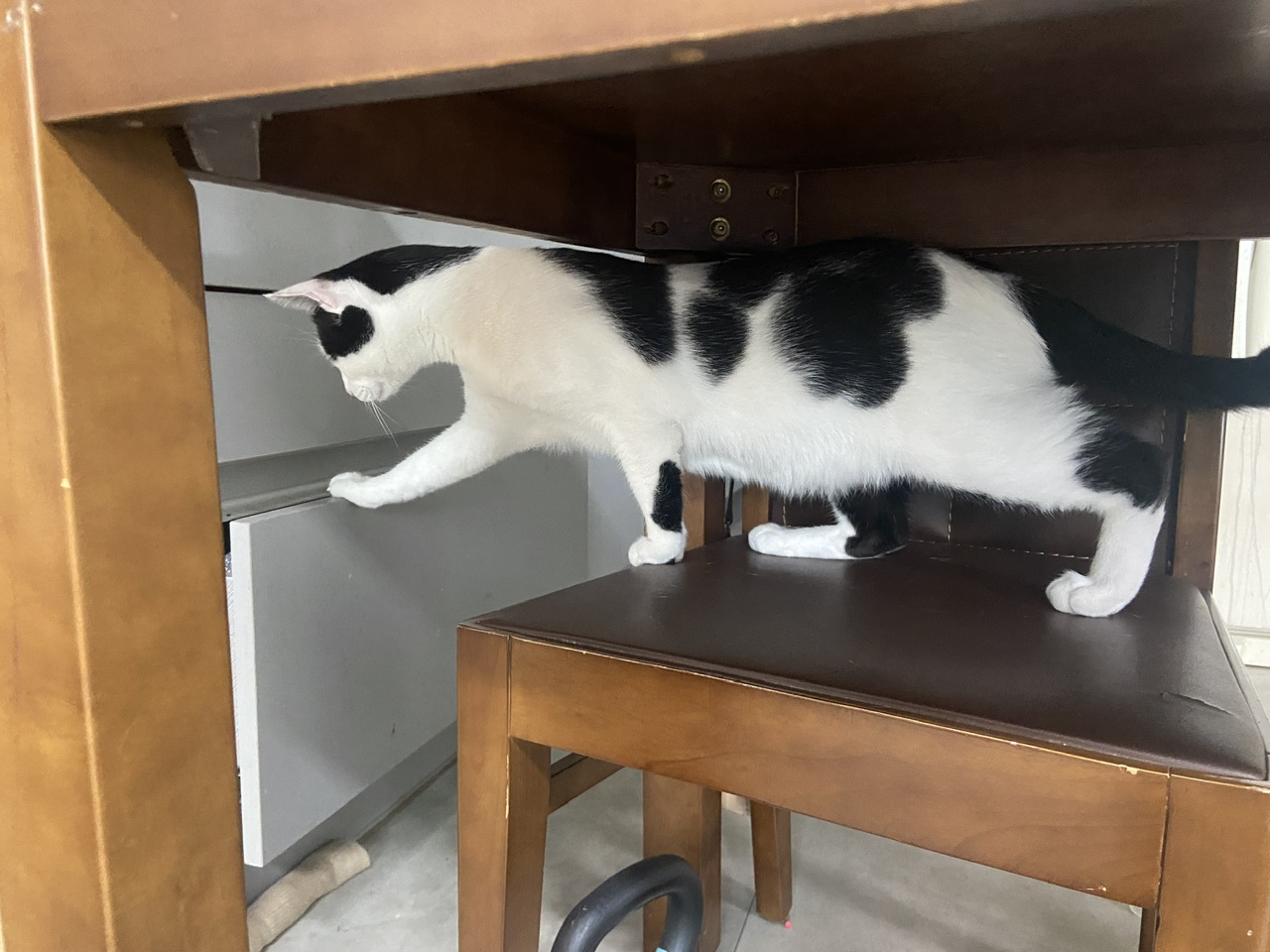 은하(aka늘찬)와 만난지 한달째 