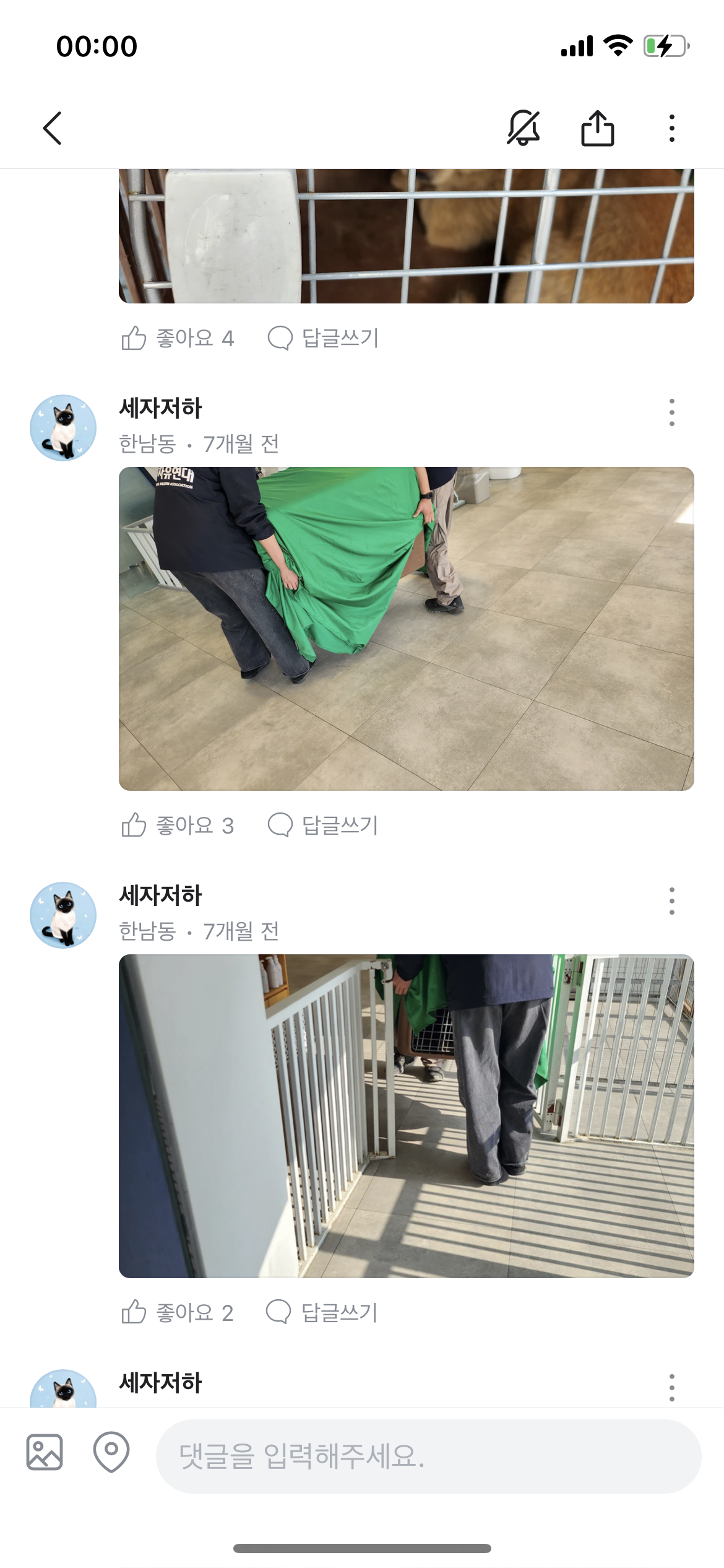 동물자유연대에서 구조후 다시 떠도는 아이