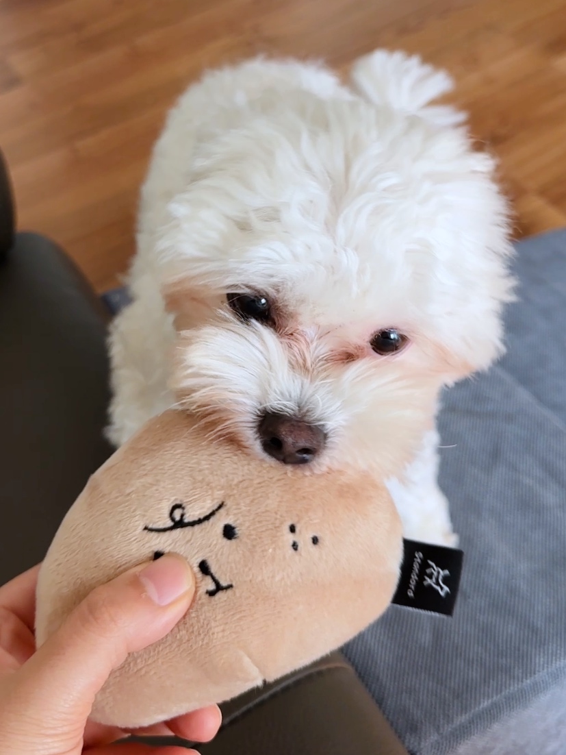 베베(말론)와 만난 지 석 달 된 이야기