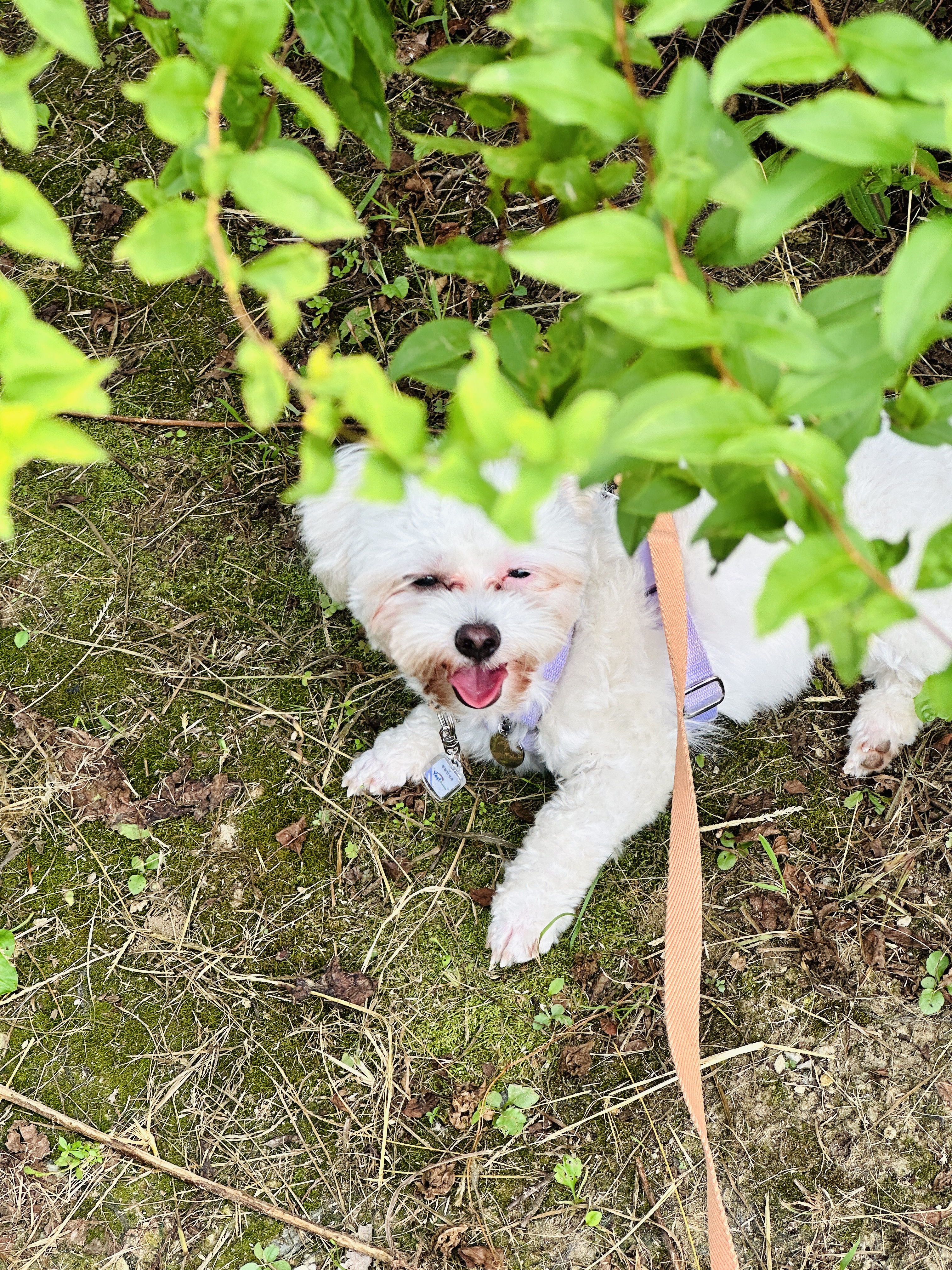 베베(말론)와 만난 지 석 달 된 이야기