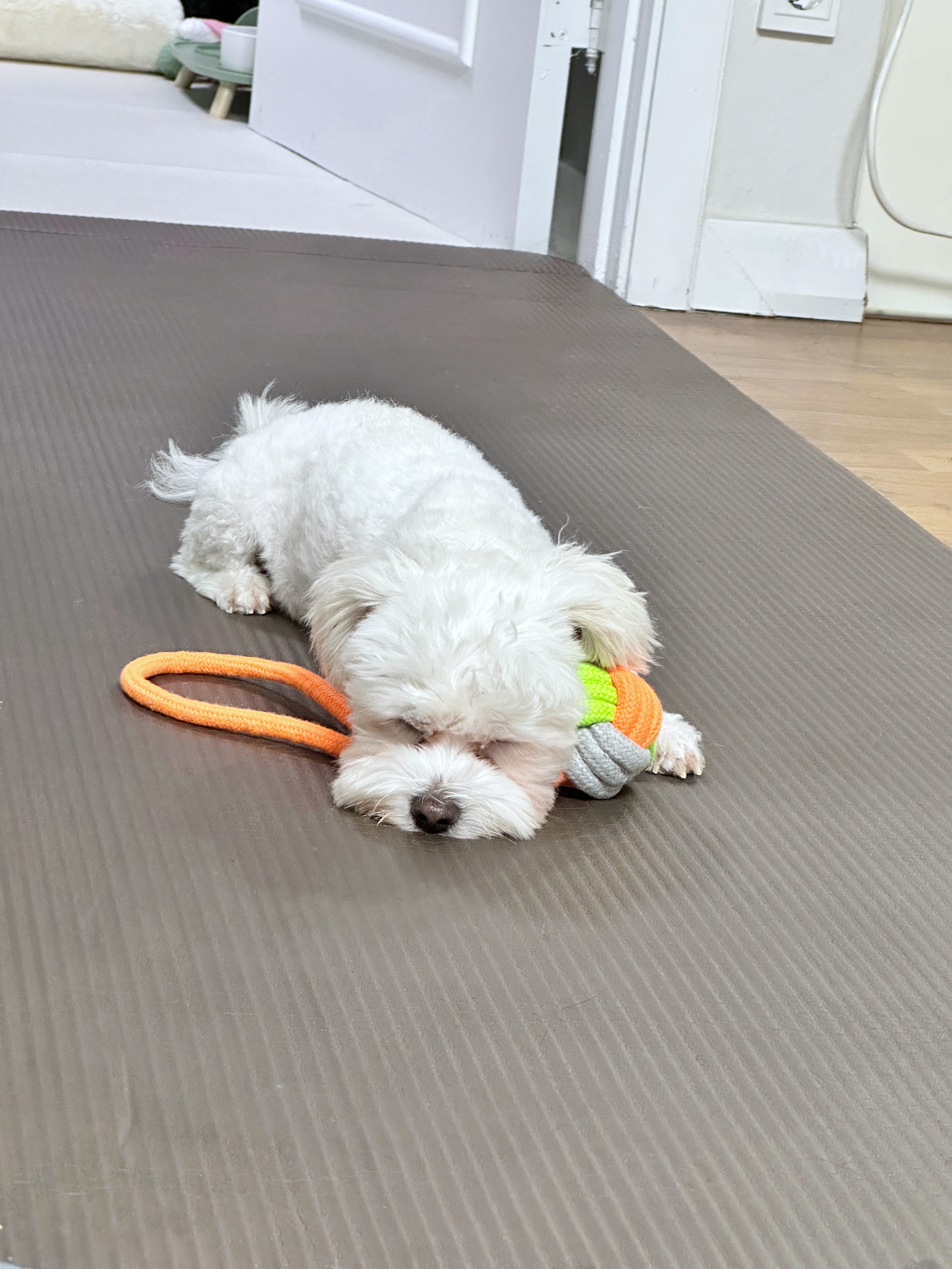 베베(말론)와 만난 지 석 달 된 이야기