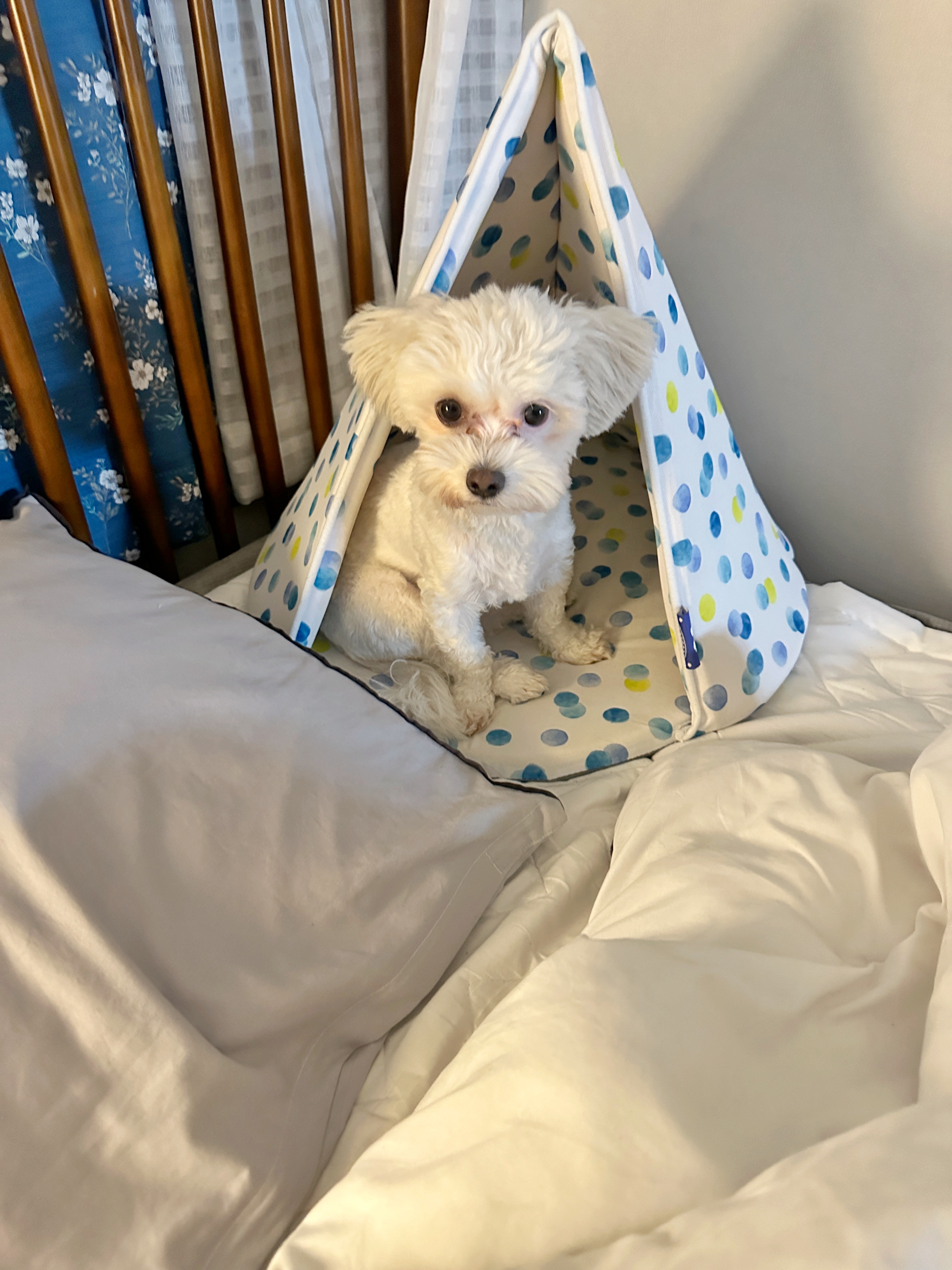 베베(말론)와 만난 지 석 달 된 이야기