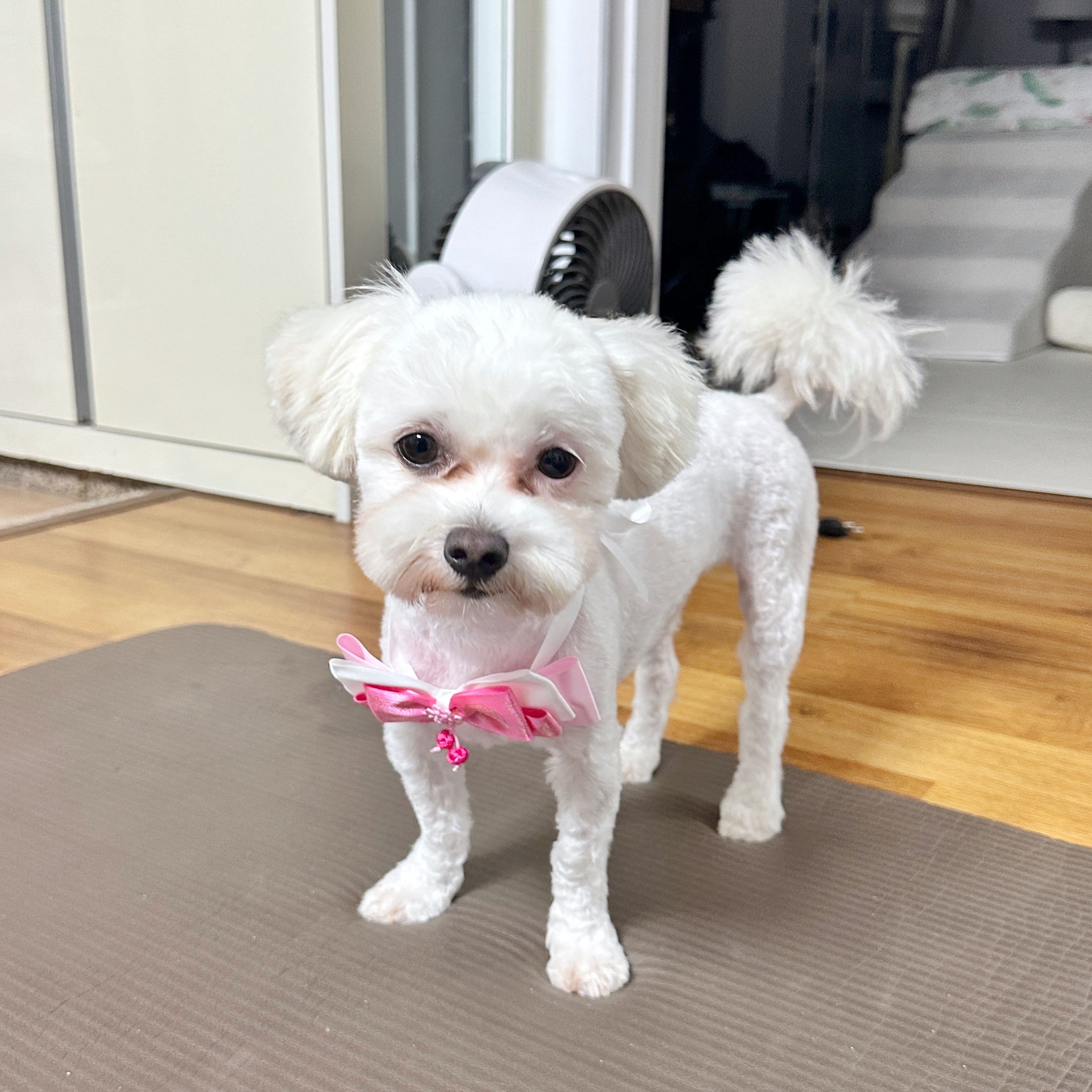 베베(말론)와 만난 지 석 달 된 이야기