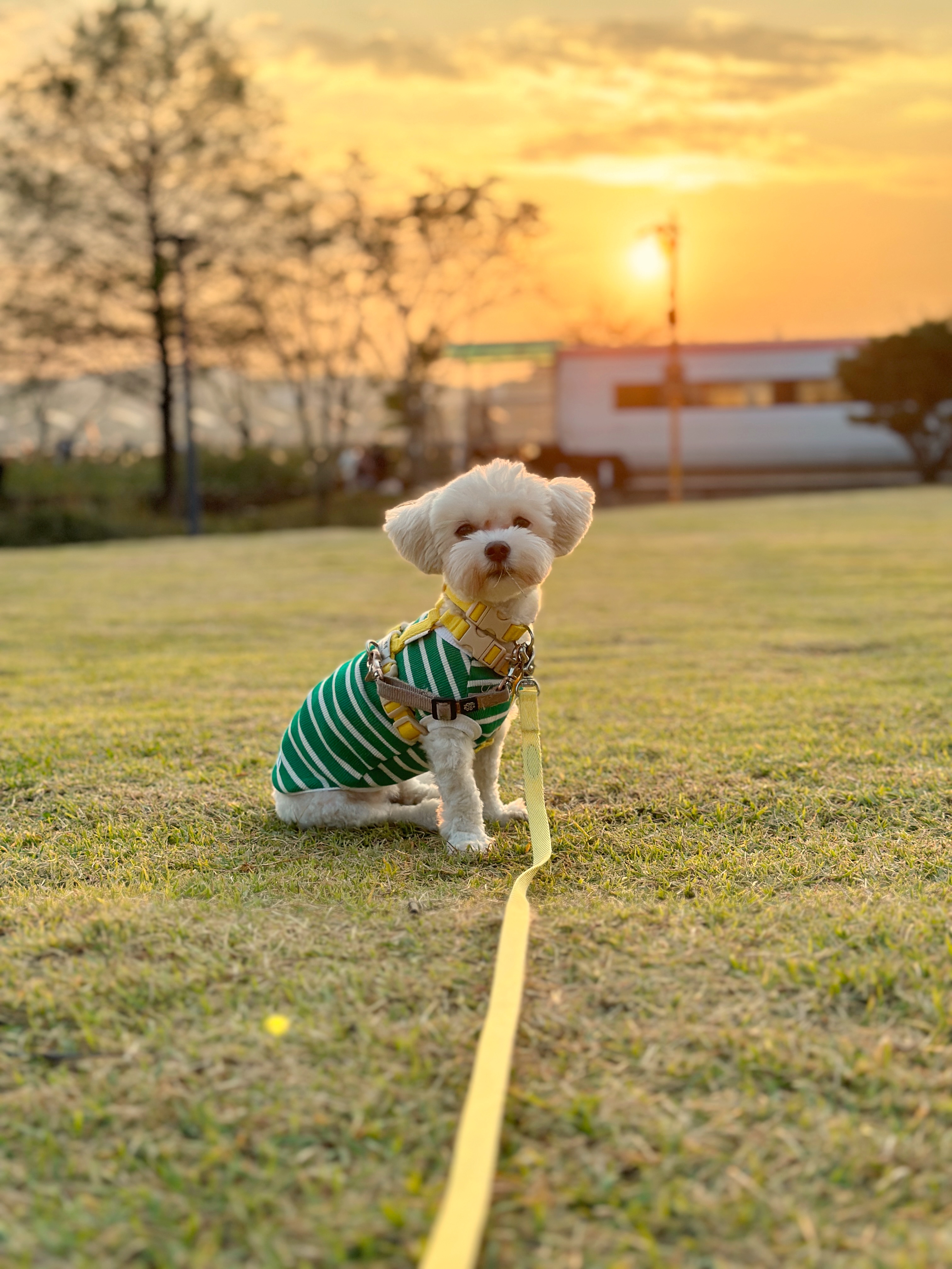 베베(말론)와 만난 지 석 달 된 이야기