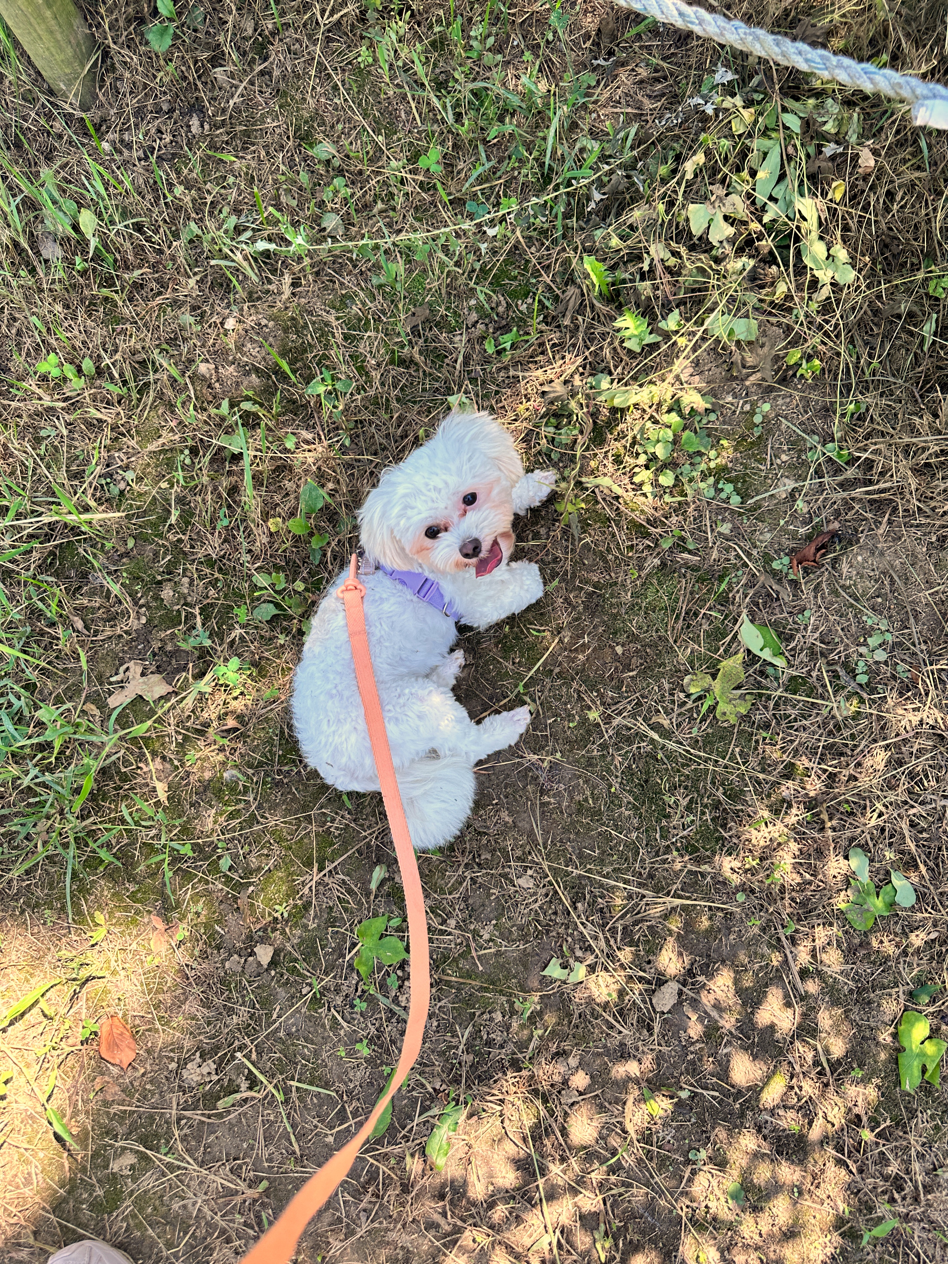 베베(말론)와 만난 지 석 달 된 이야기